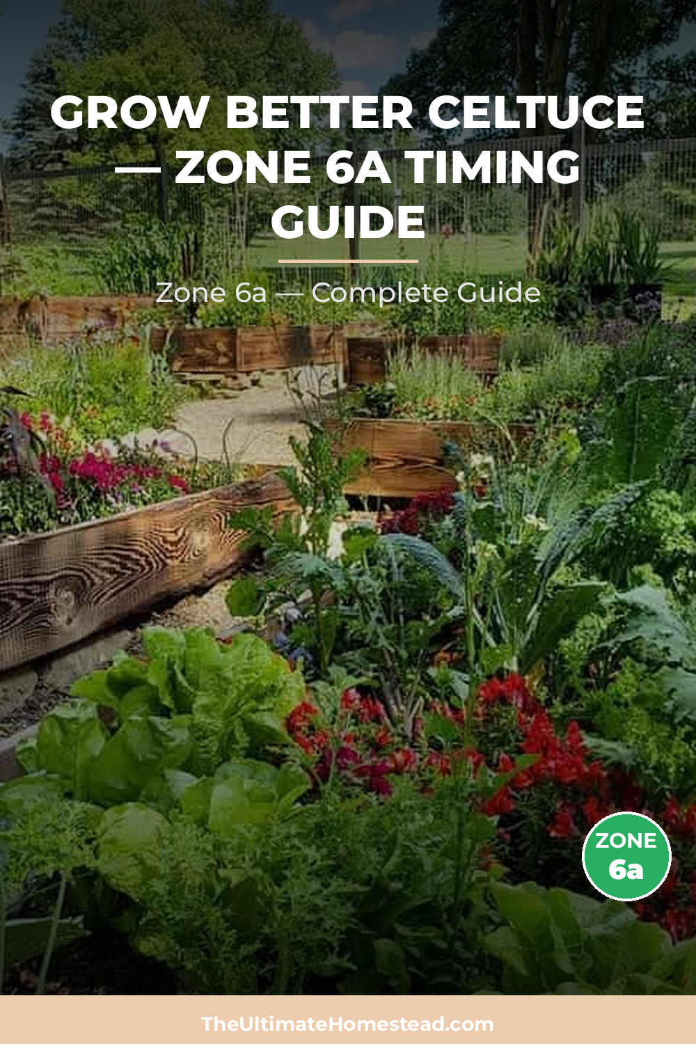 When to Plant Celtuce in Zone 6a