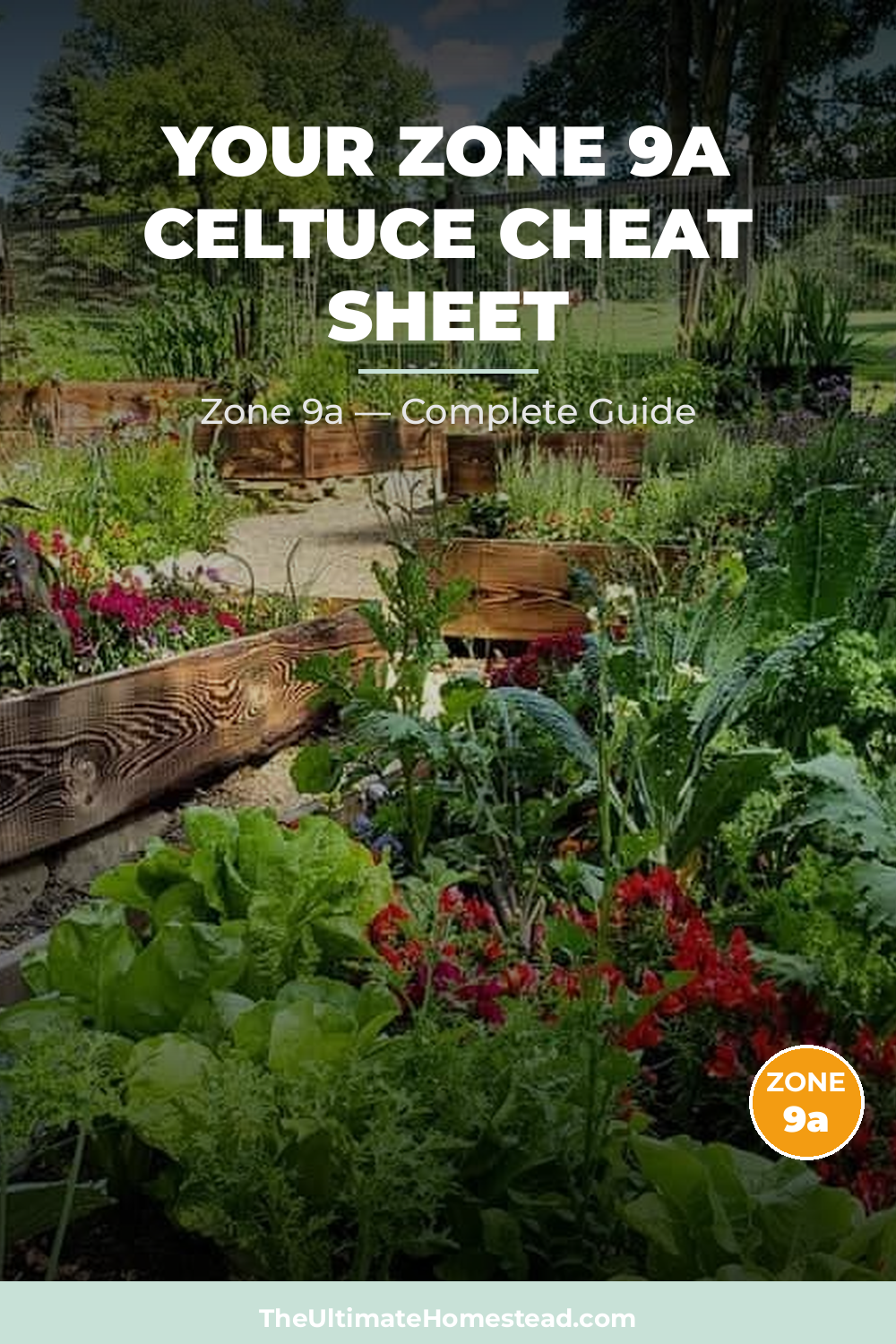 When to Plant Celtuce in Zone 9a