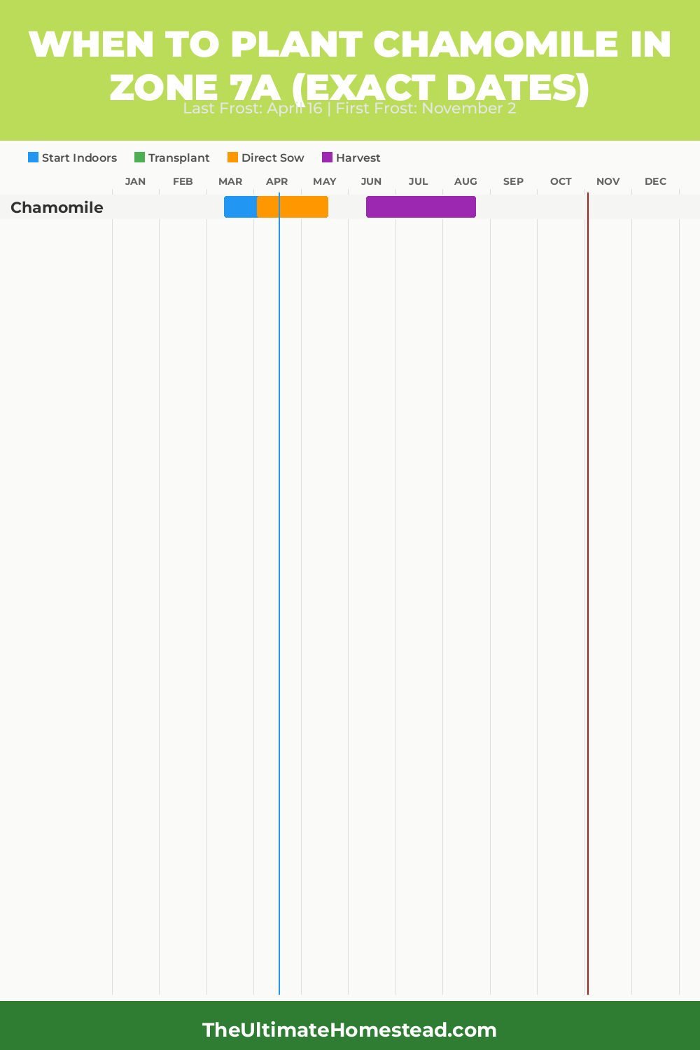 When to Plant Chamomile in Zone 7a