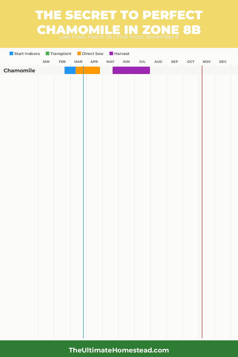 When to Plant Chamomile in Zone 8b
