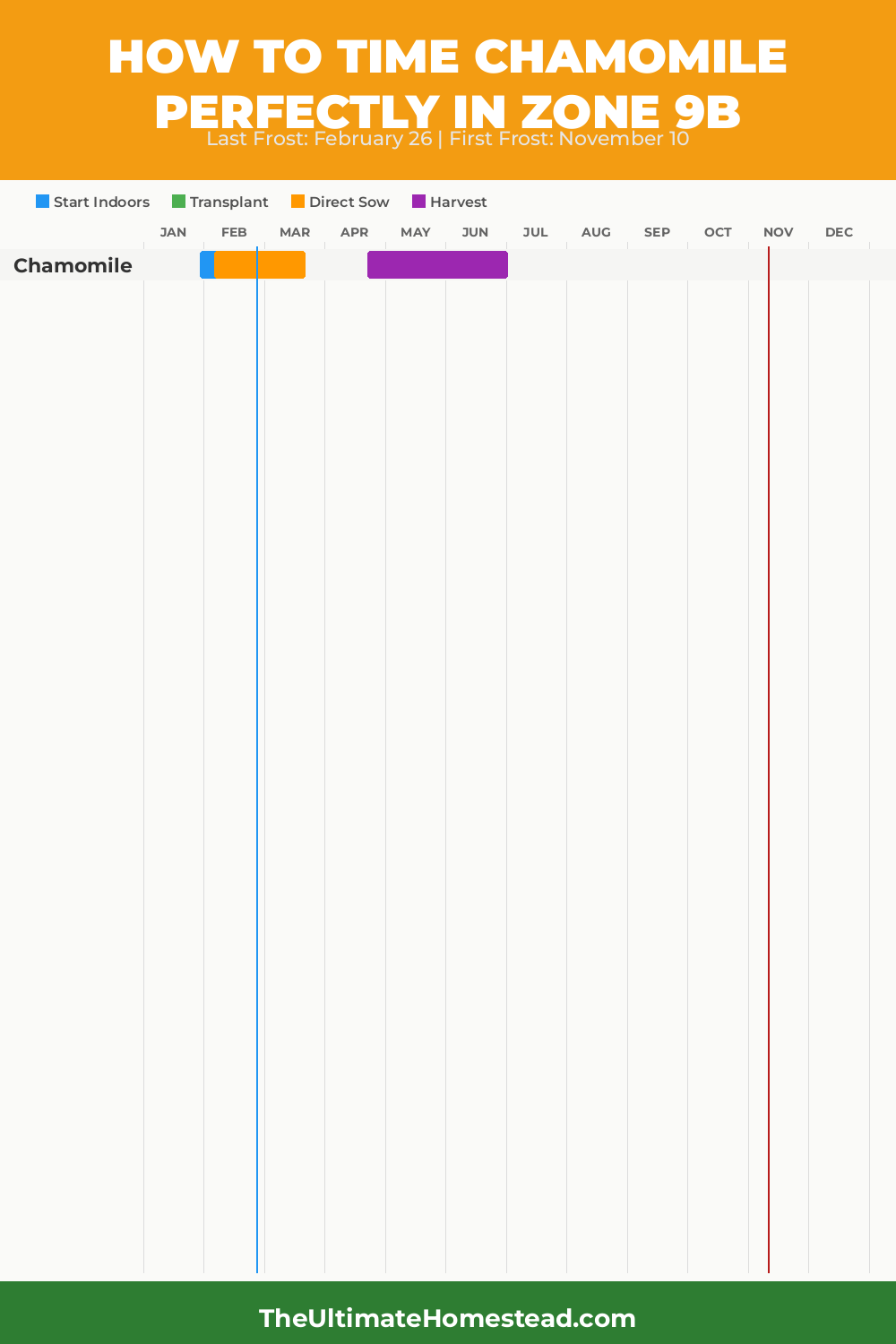 When to Plant Chamomile in Zone 9b