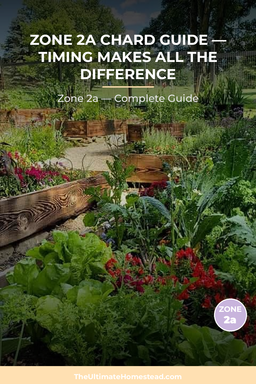 When to Plant Chard in Zone 2a