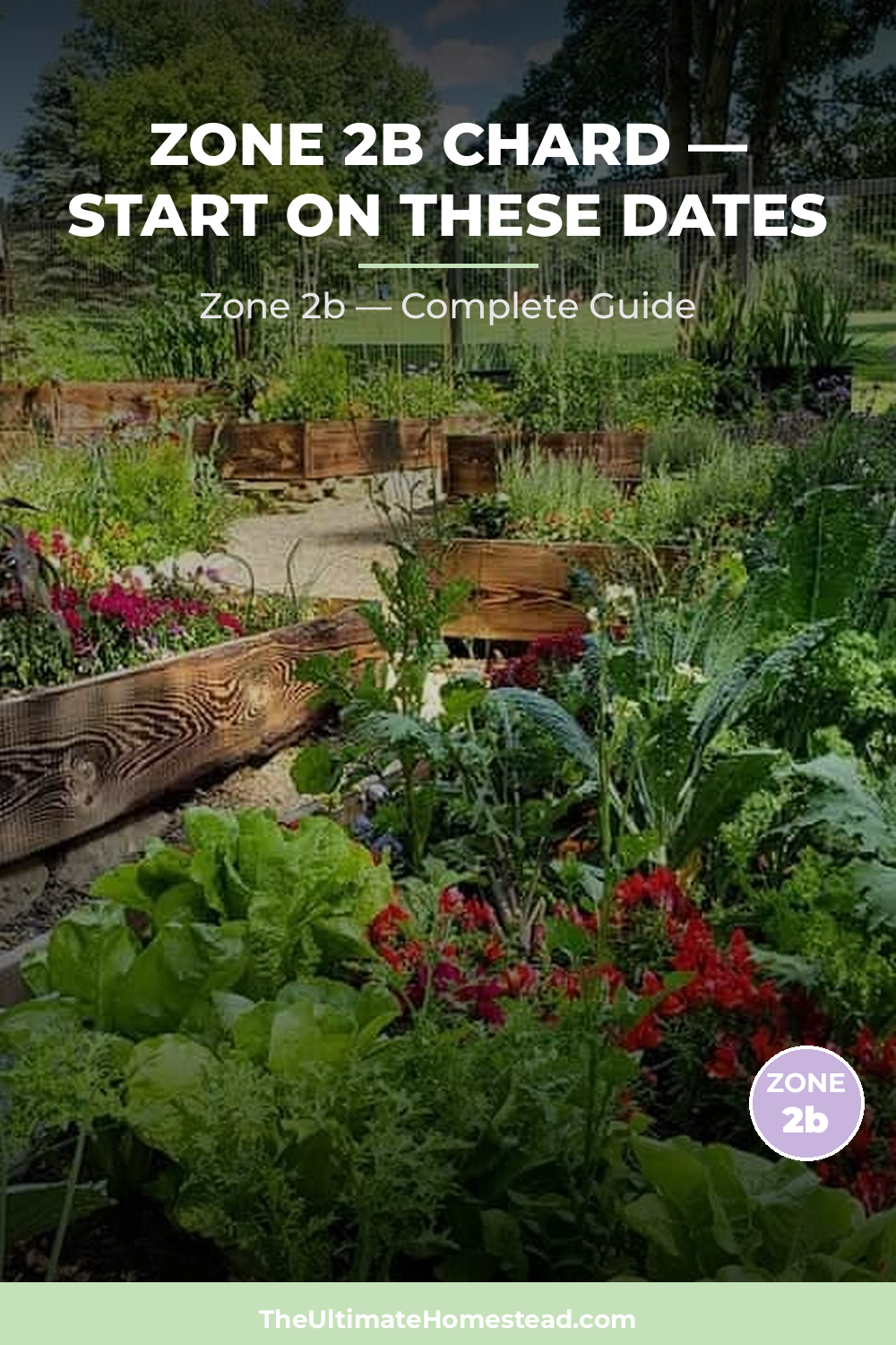 When to Plant Chard in Zone 2b