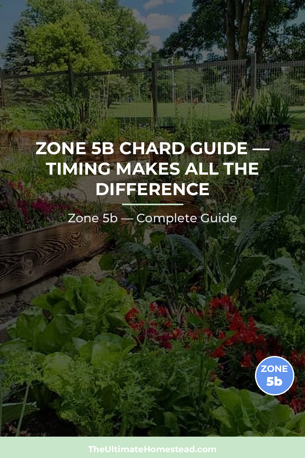 When to Plant Chard in Zone 5b