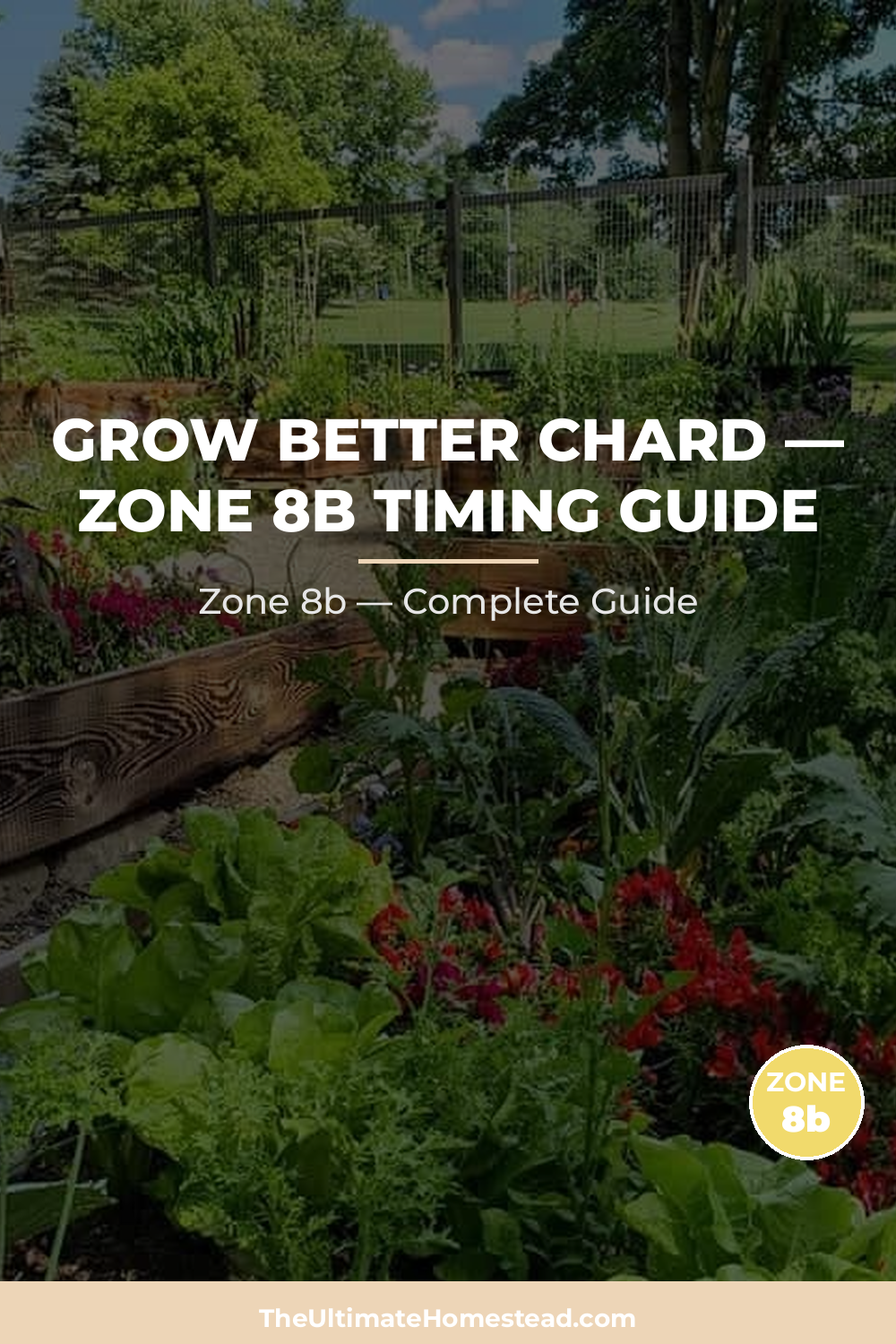 When to Plant Chard in Zone 8b