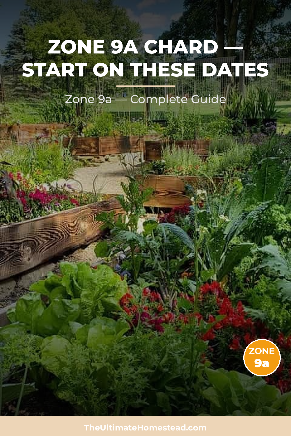 When to Plant Chard in Zone 9a