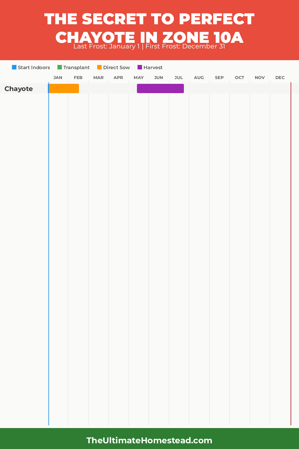 When to Plant Chayote in Zone 10a