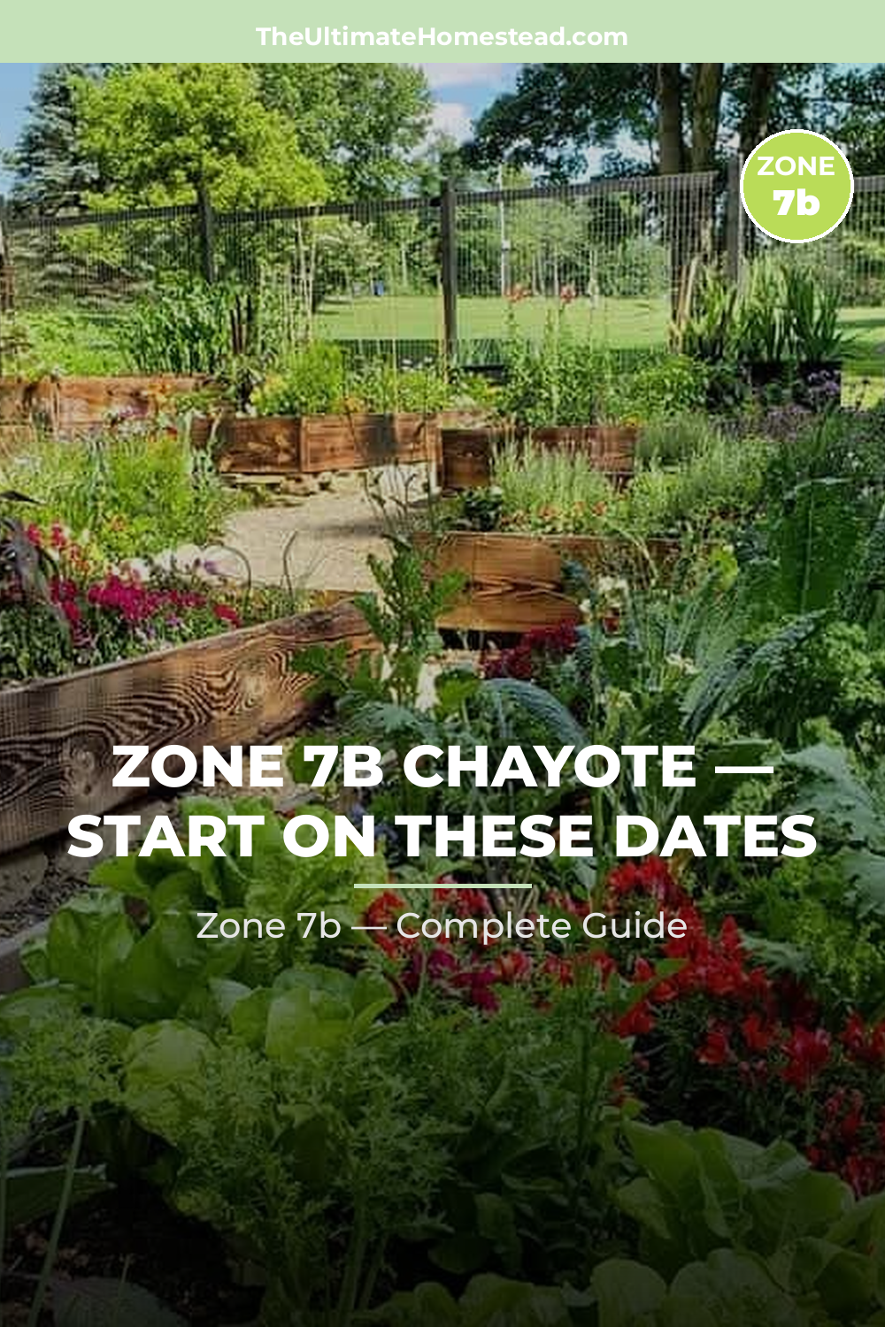 When to Plant Chayote in Zone 7b
