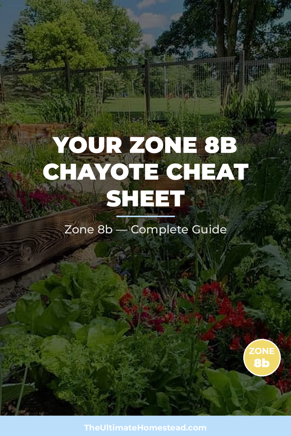 When to Plant Chayote in Zone 8b
