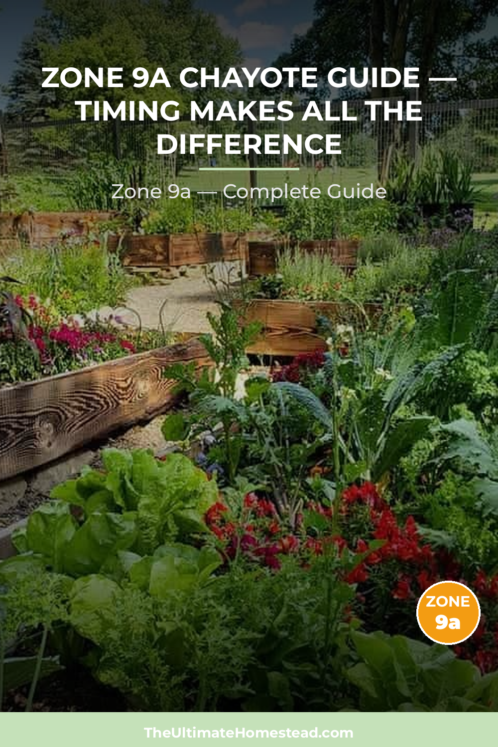 When to Plant Chayote in Zone 9a