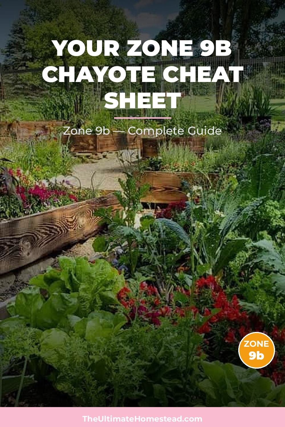 When to Plant Chayote in Zone 9b