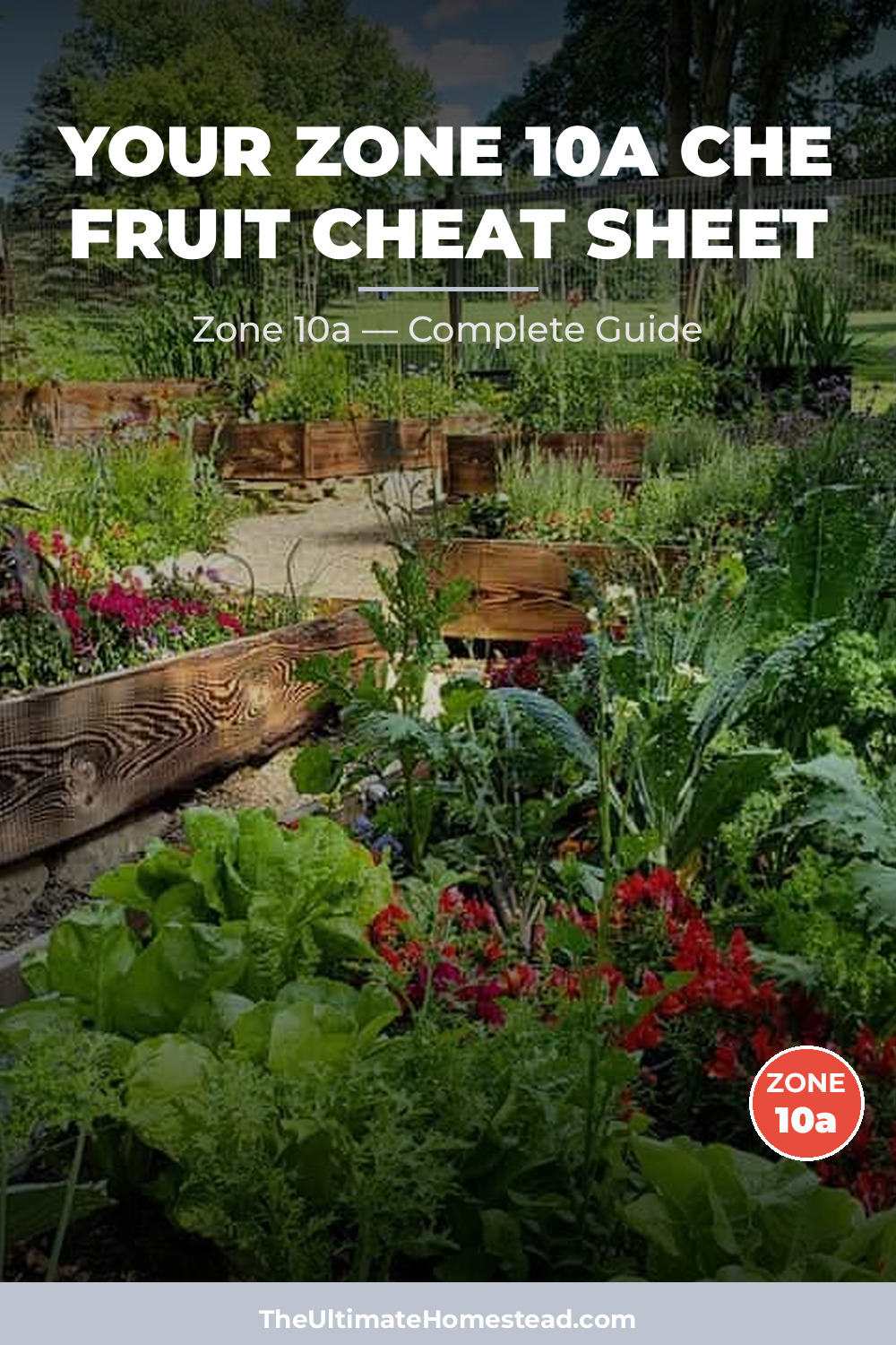 When to Plant Che Fruit in Zone 10a
