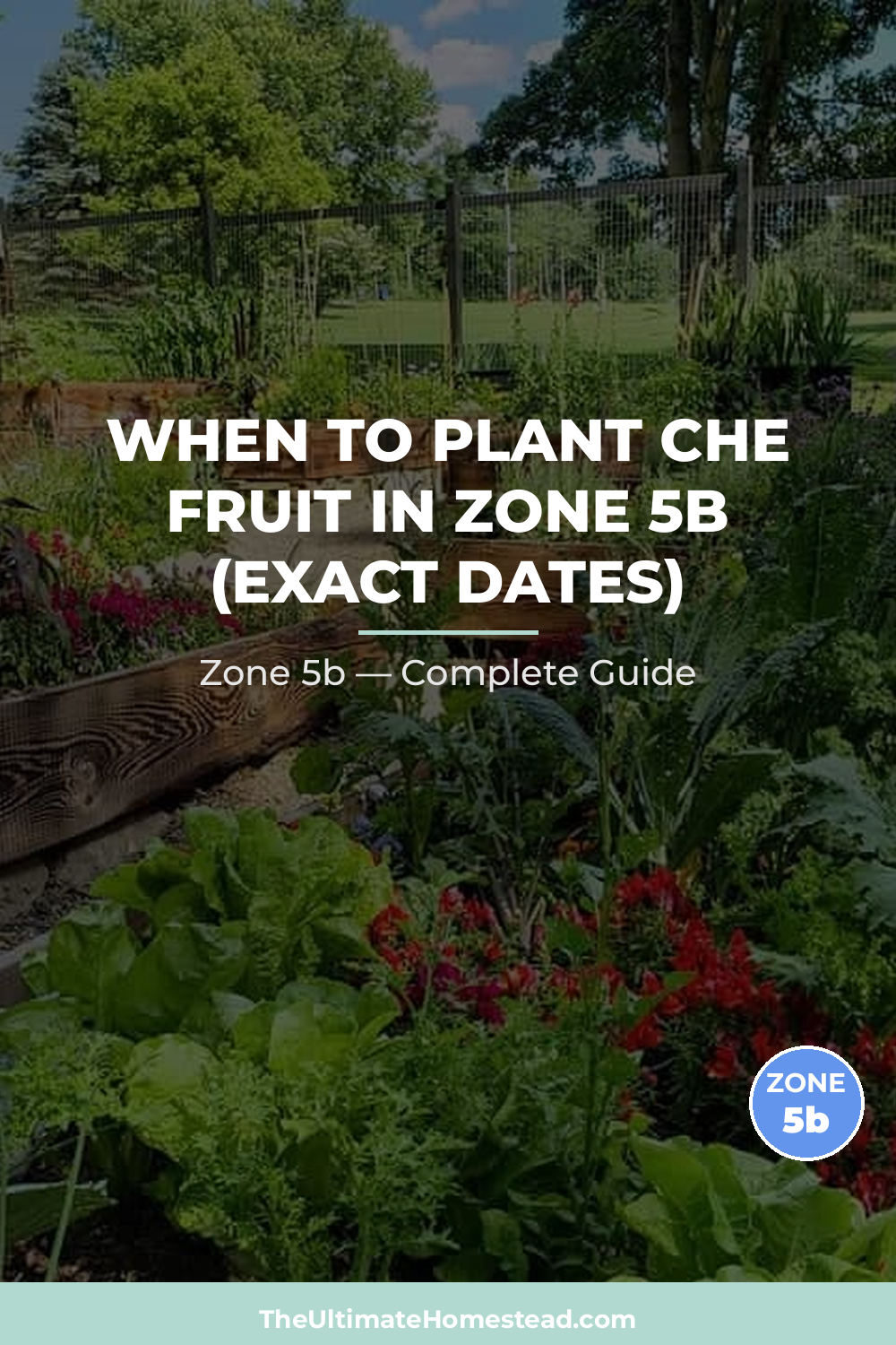 When to Plant Che Fruit in Zone 5b