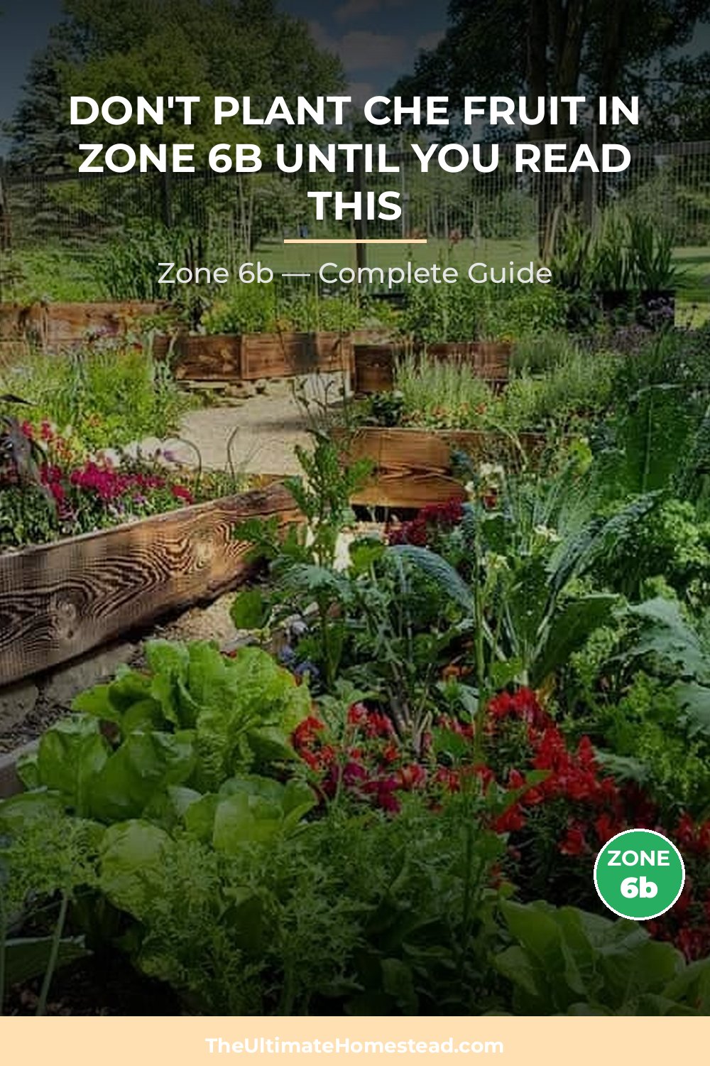 When to Plant Che Fruit in Zone 6b