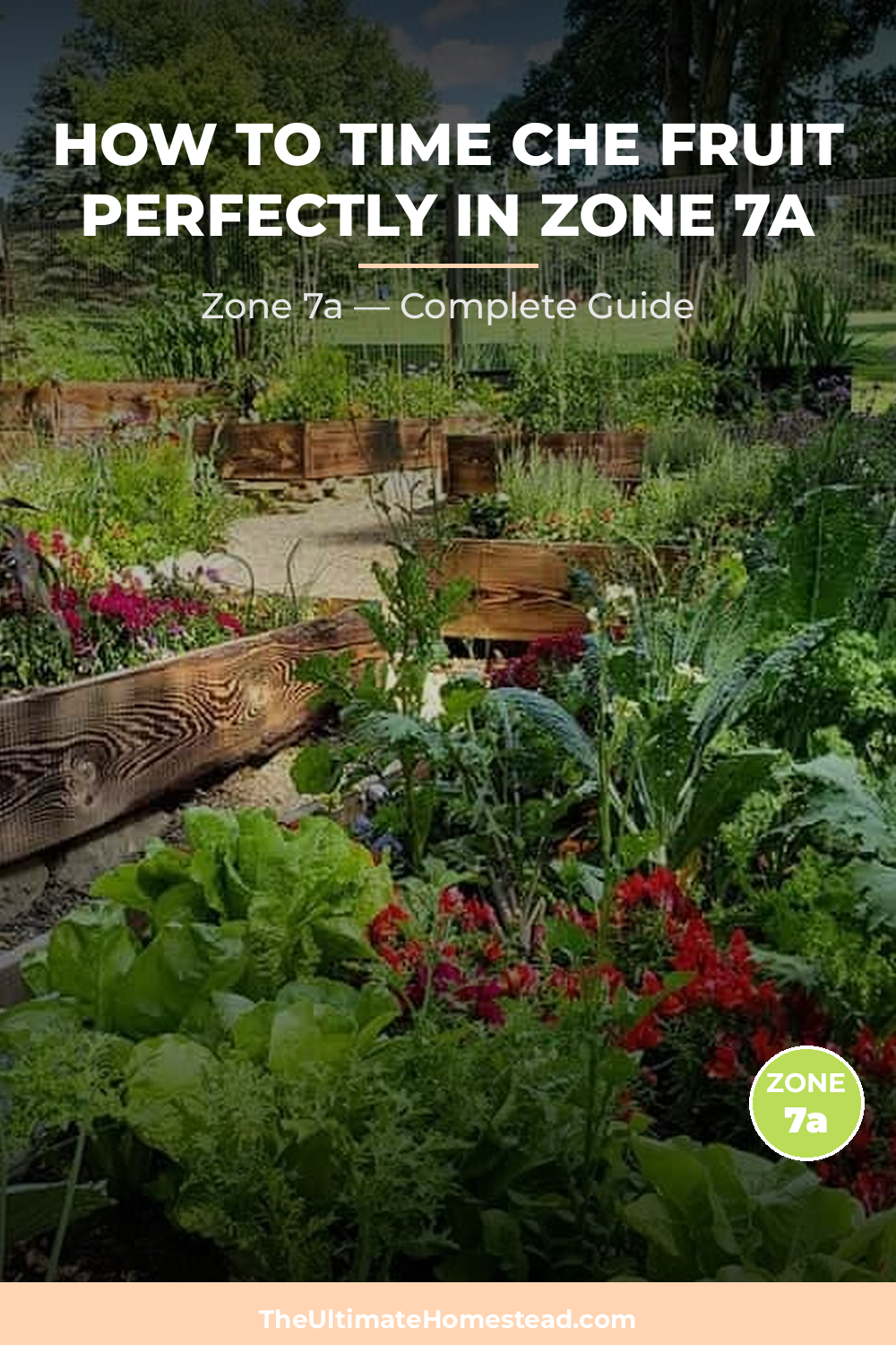 When to Plant Che Fruit in Zone 7a