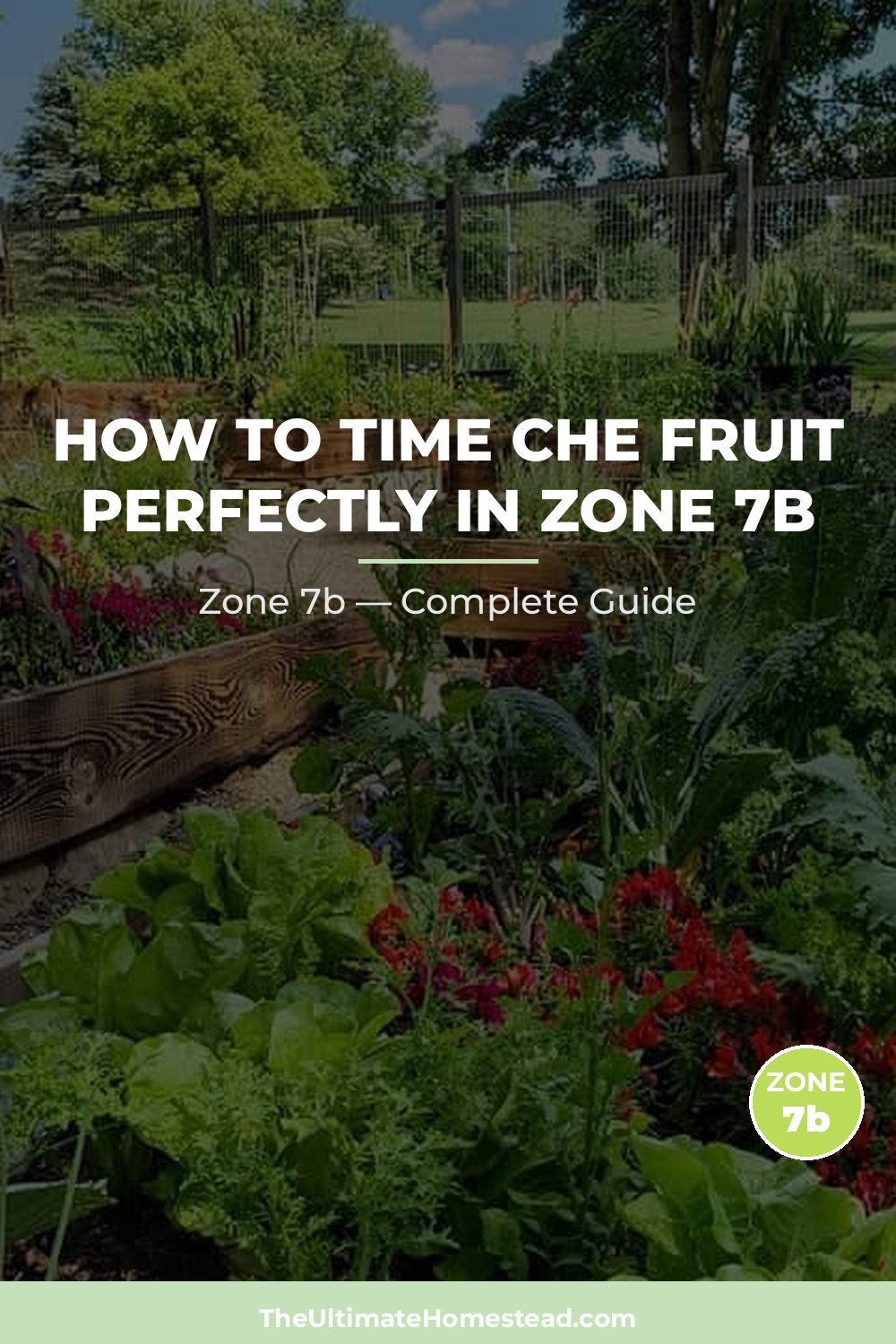 When to Plant Che Fruit in Zone 7b