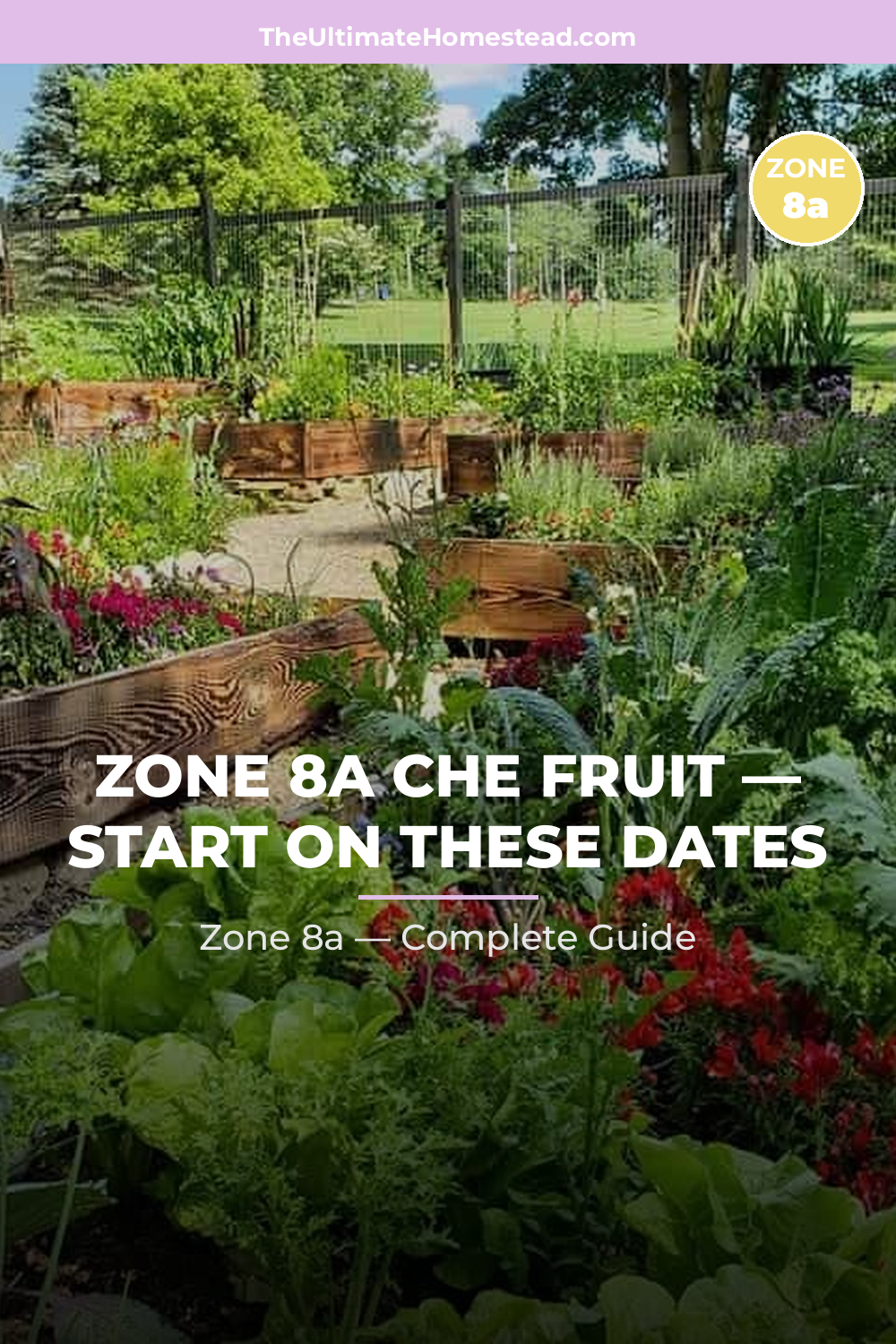 When to Plant Che Fruit in Zone 8a