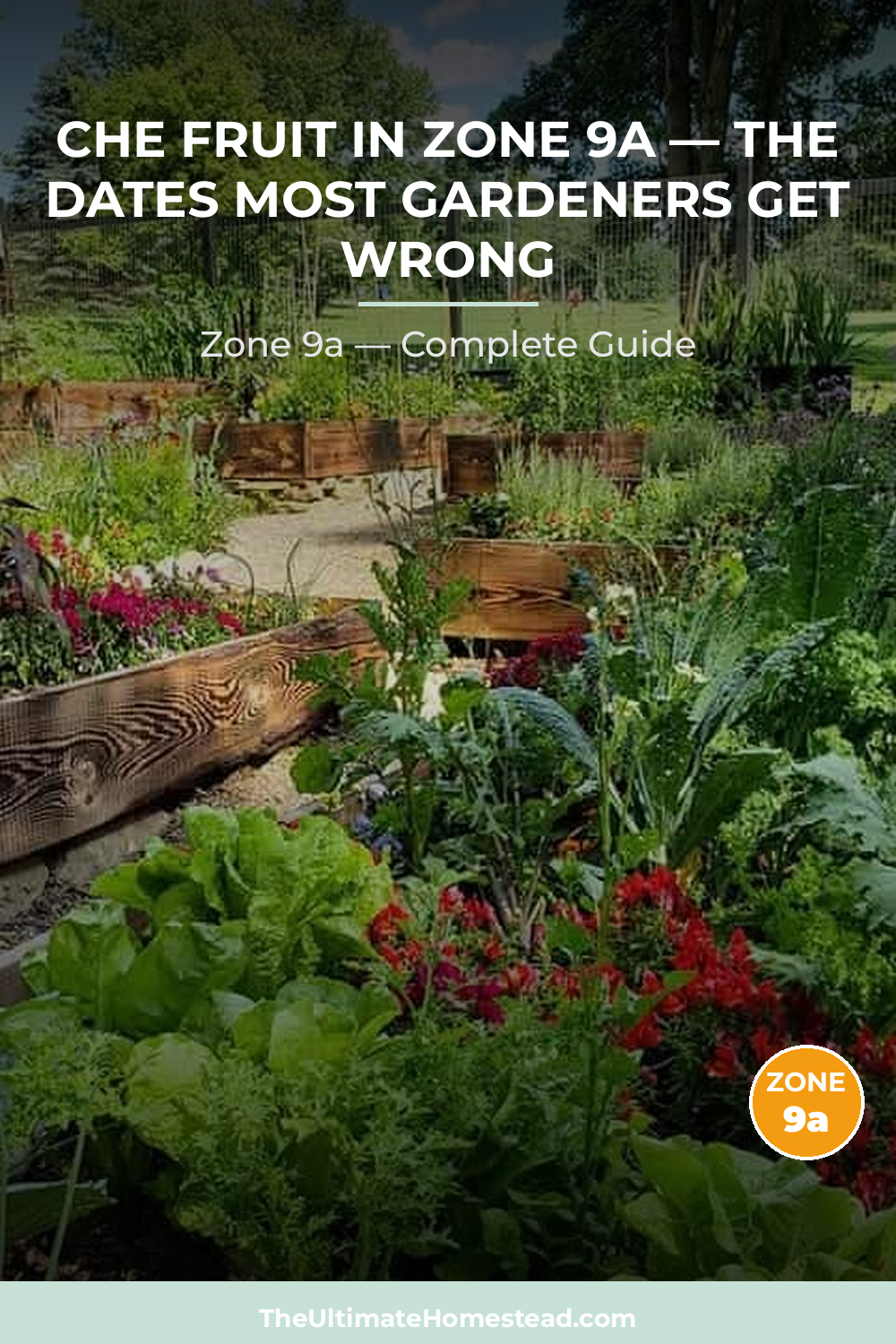 When to Plant Che Fruit in Zone 9a