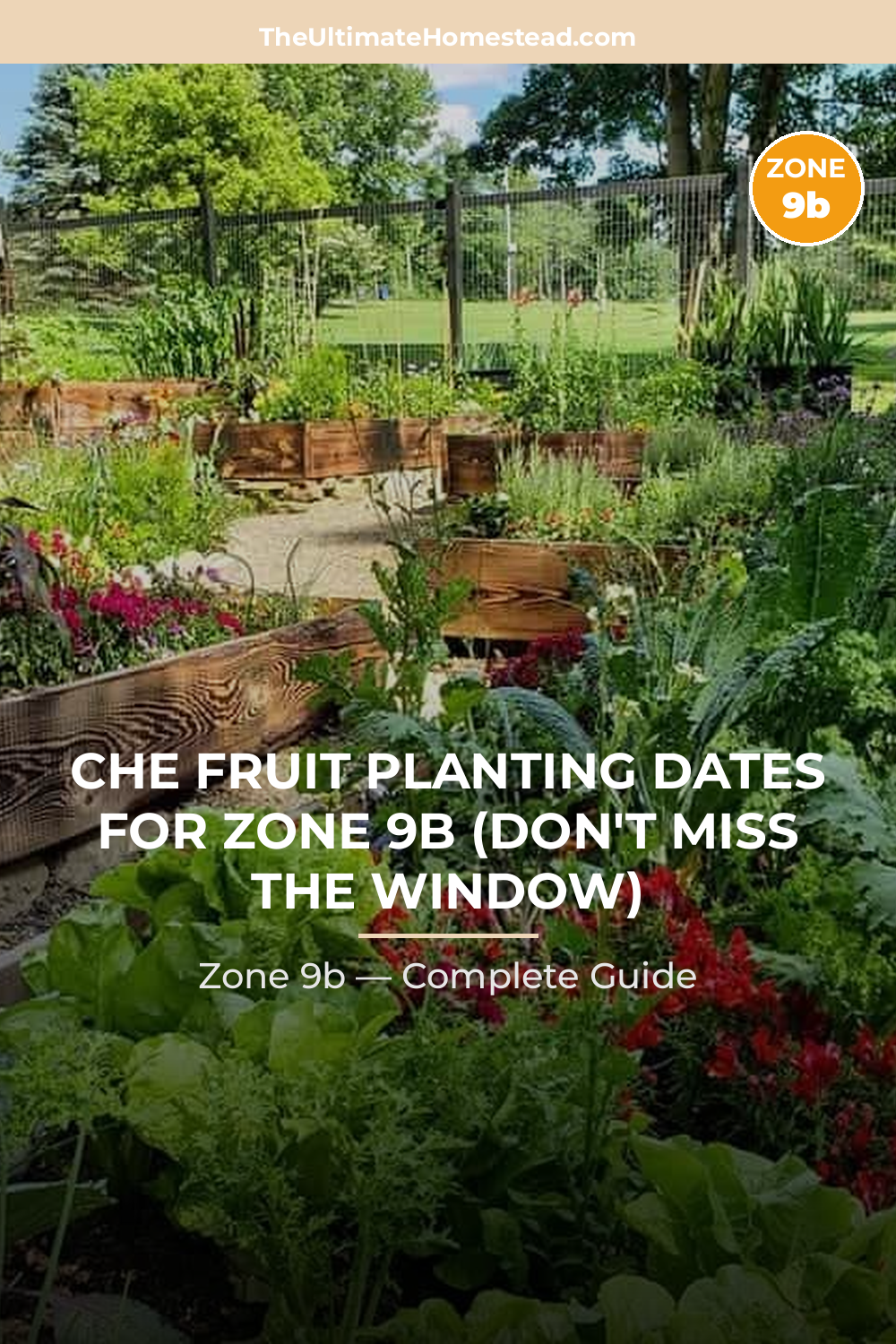 When to Plant Che Fruit in Zone 9b