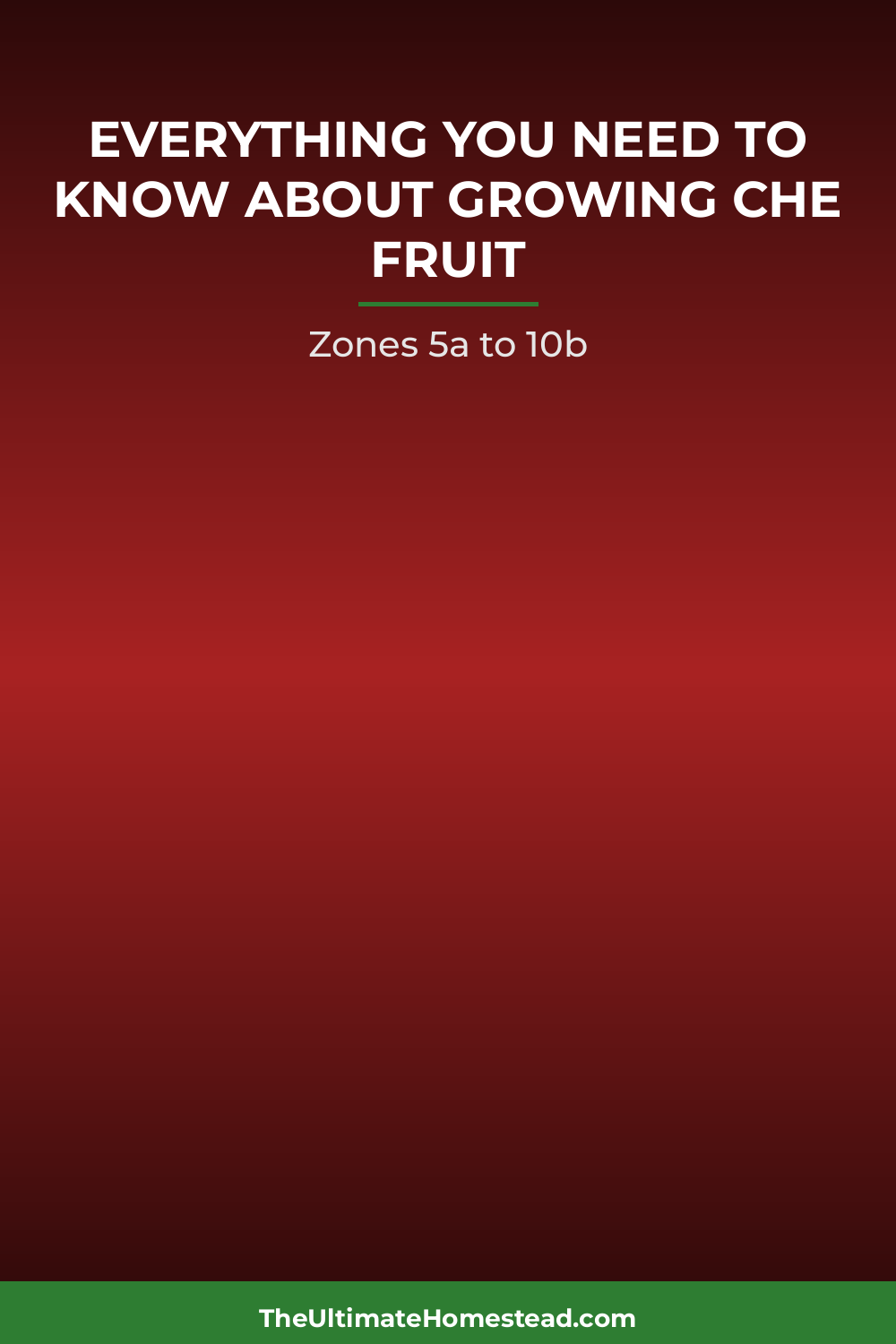 Che Fruit Planting Guide
