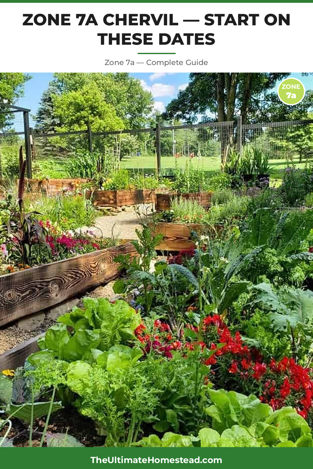 When to Plant Chervil in Zone 7a