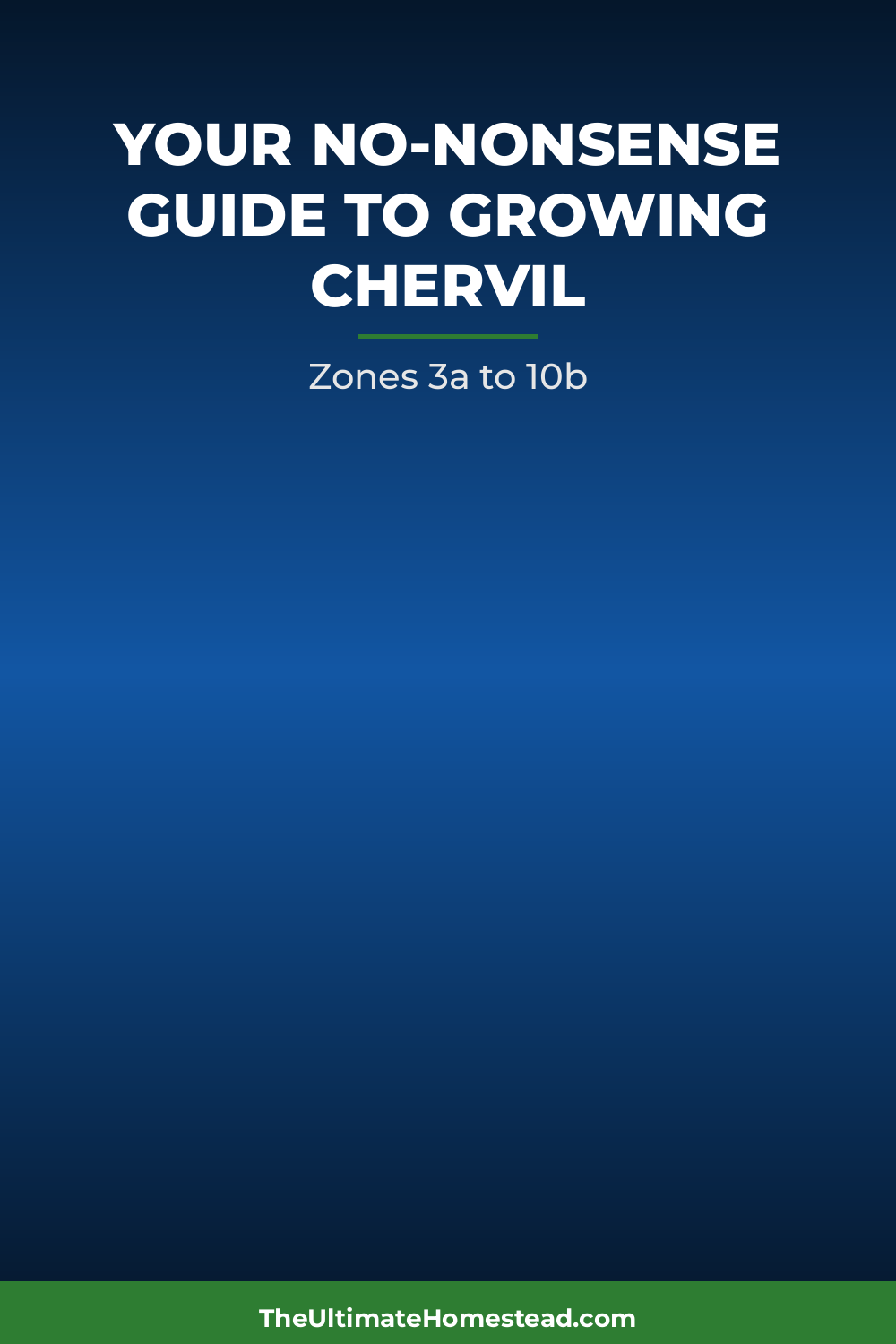 Chervil Planting Guide