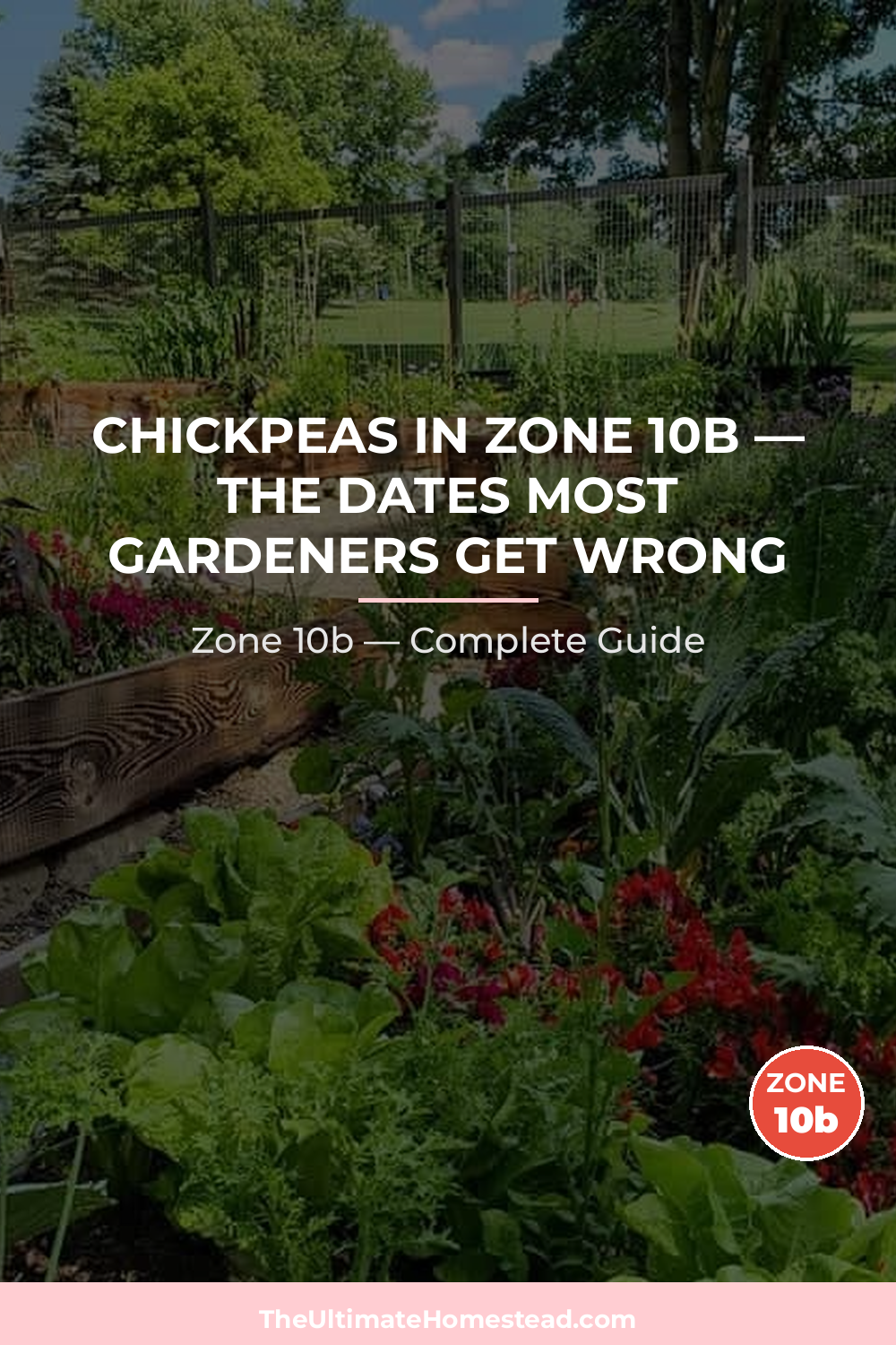 When to Plant Chickpeas in Zone 10b
