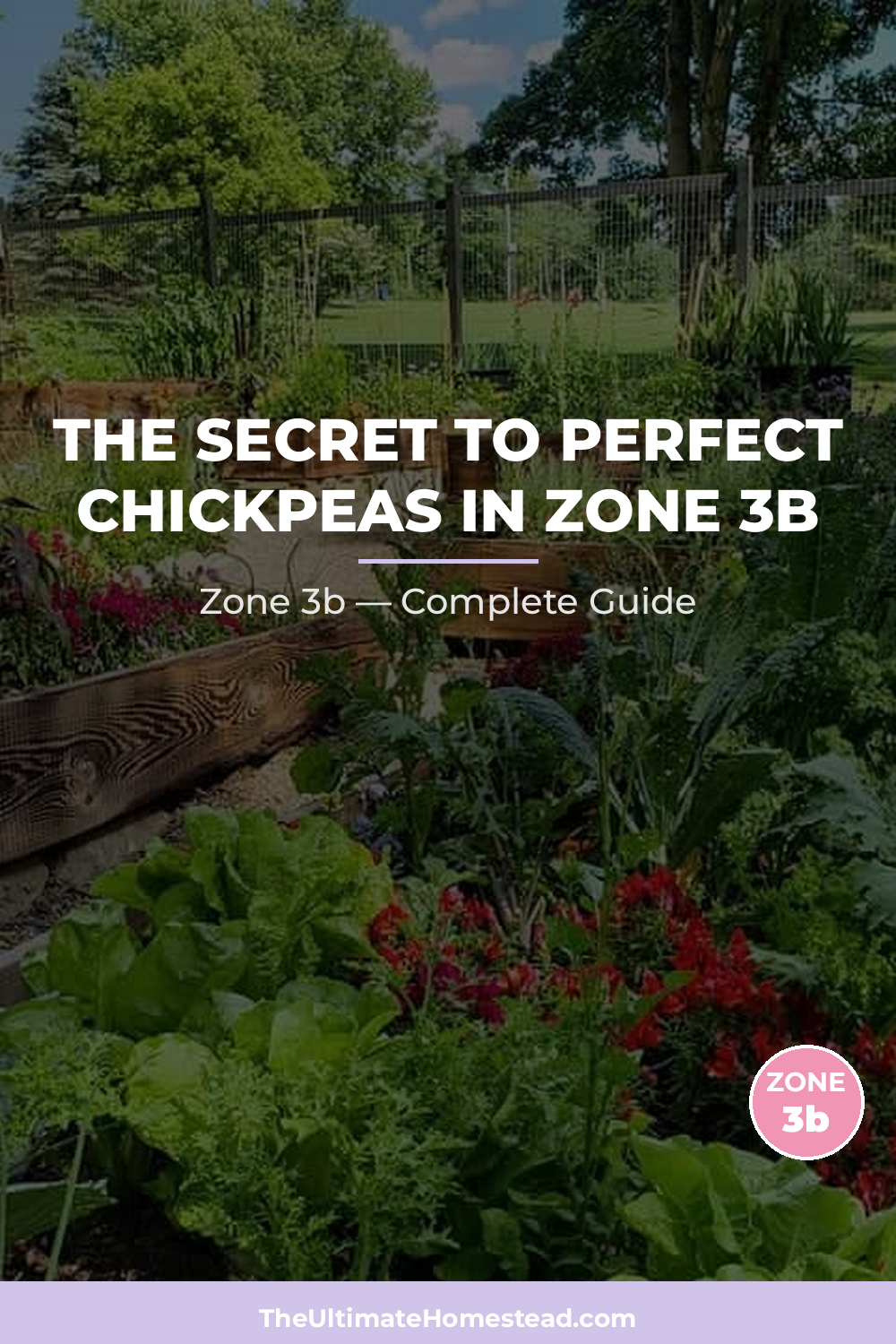 When to Plant Chickpeas in Zone 3b