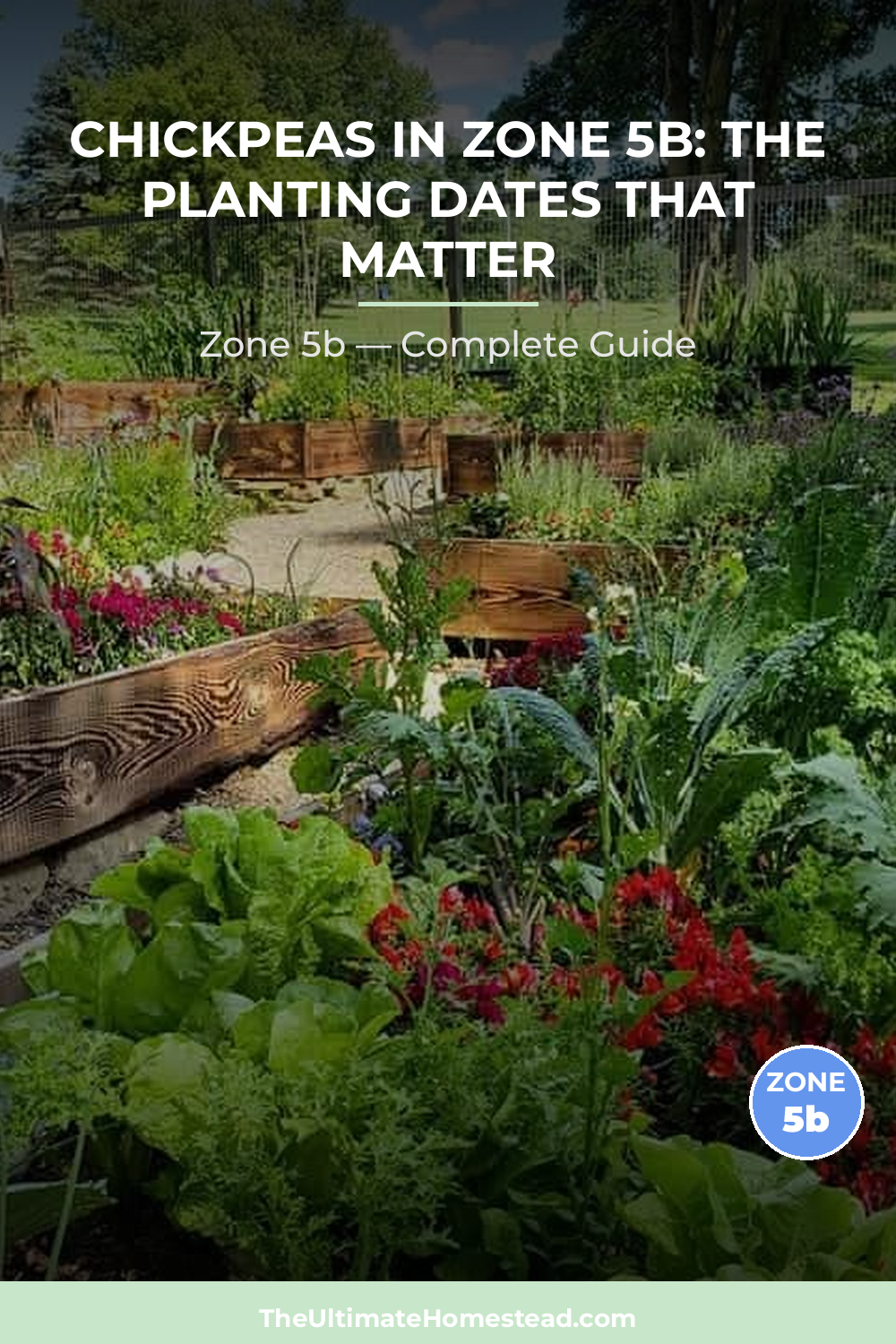 When to Plant Chickpeas in Zone 5b