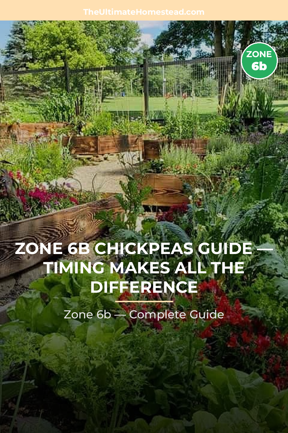 When to Plant Chickpeas in Zone 6b