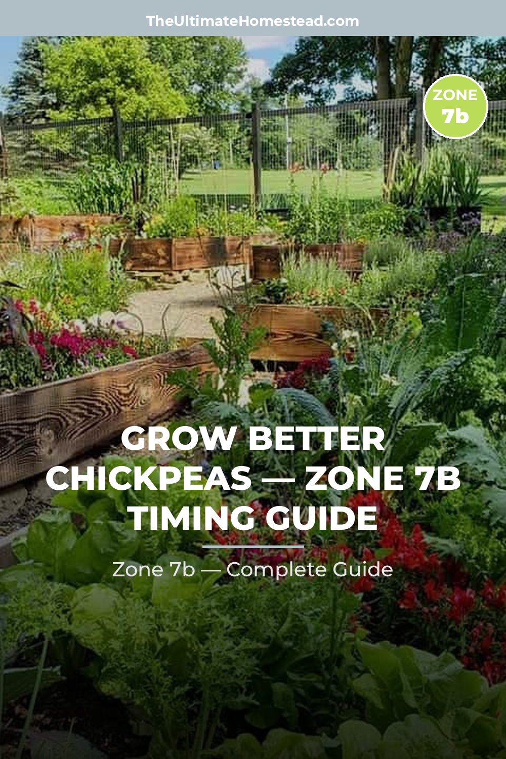 When to Plant Chickpeas in Zone 7b