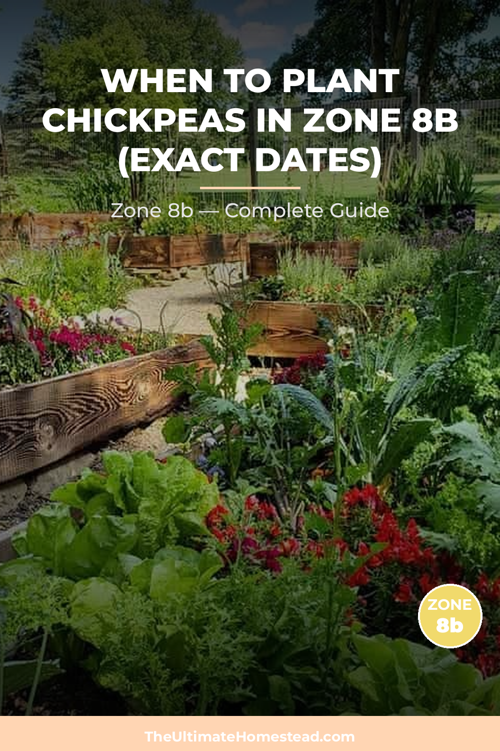 When to Plant Chickpeas in Zone 8b