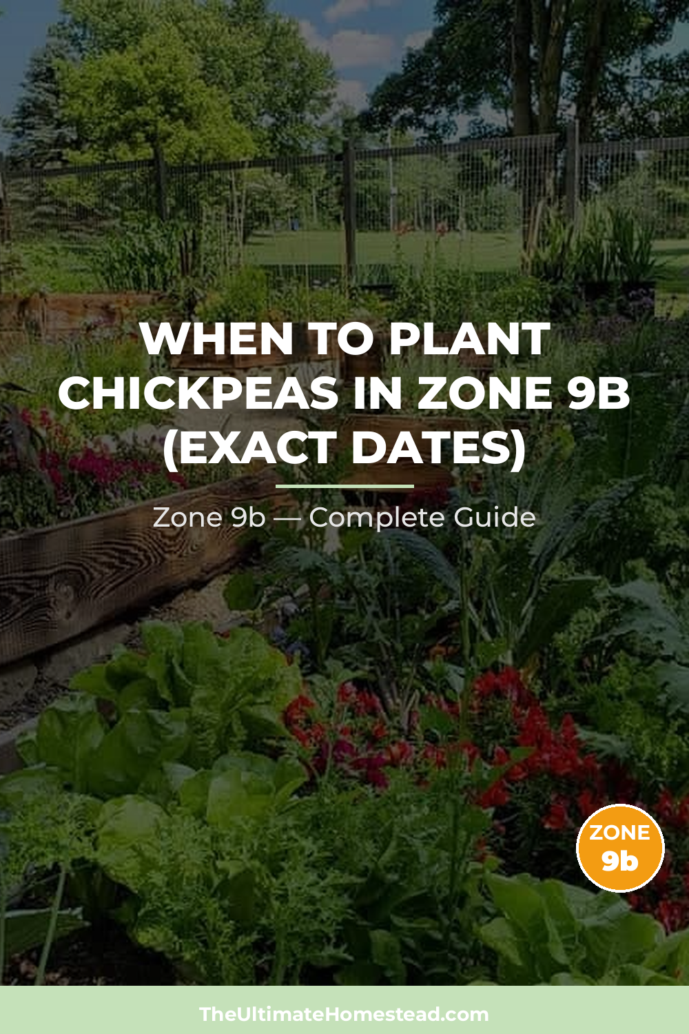 When to Plant Chickpeas in Zone 9b