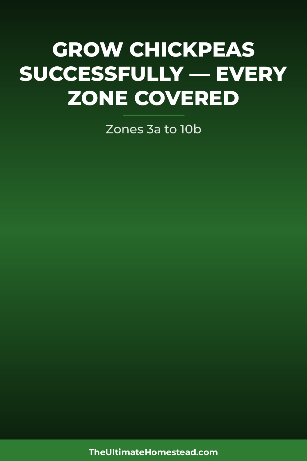 Chickpeas Planting Guide