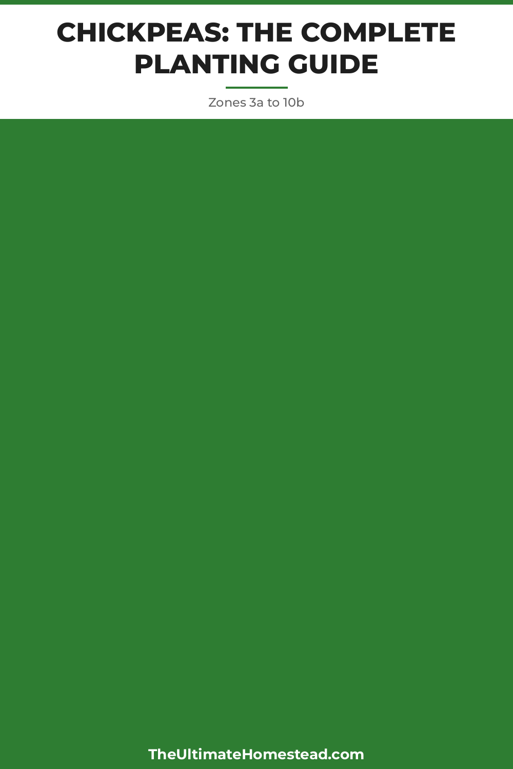 Chickpeas Planting Guide