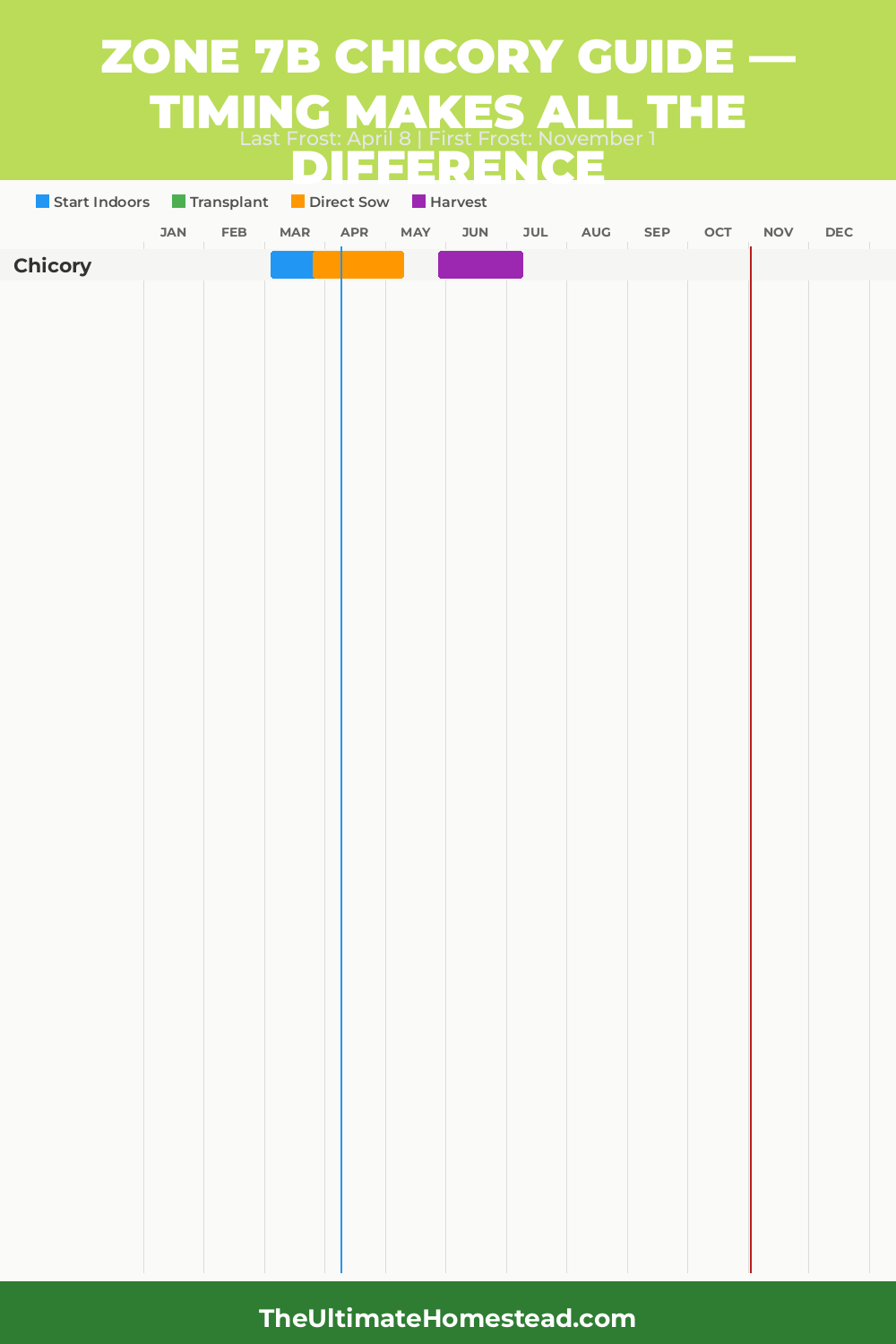 When to Plant Chicory in Zone 7b