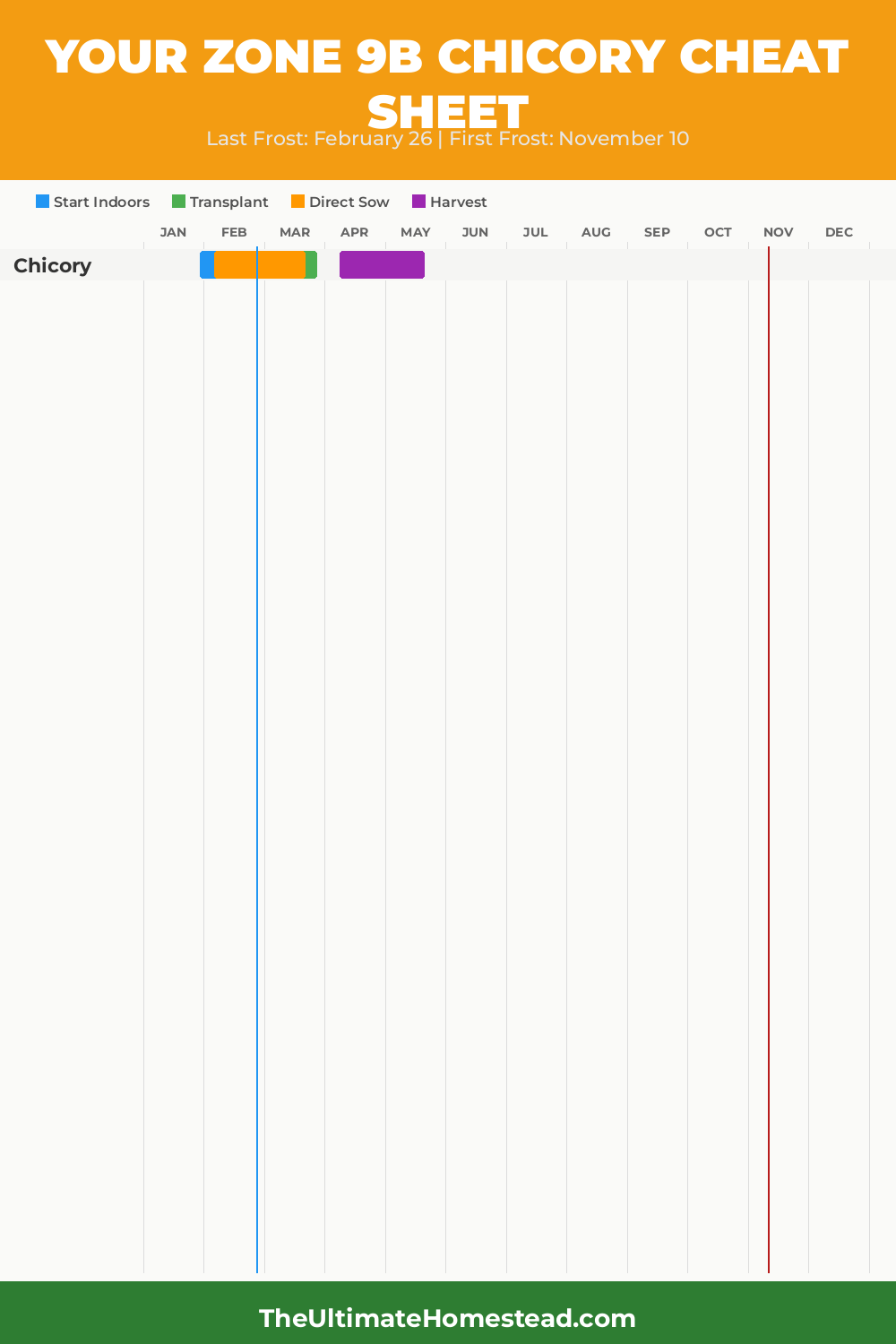 When to Plant Chicory in Zone 9b