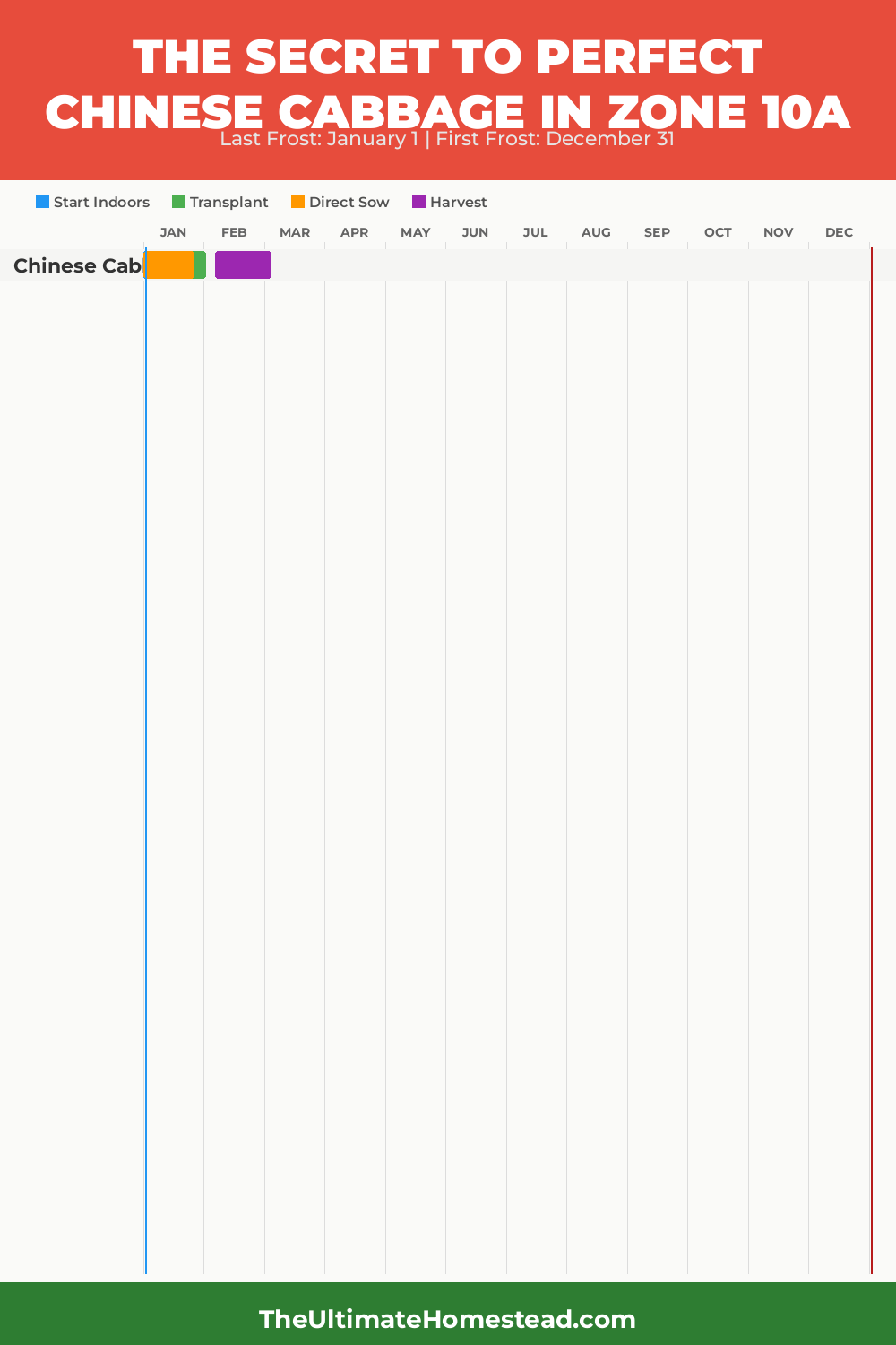 When to Plant Chinese Cabbage in Zone 10a