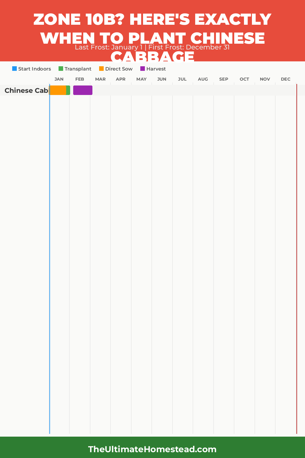 When to Plant Chinese Cabbage in Zone 10b