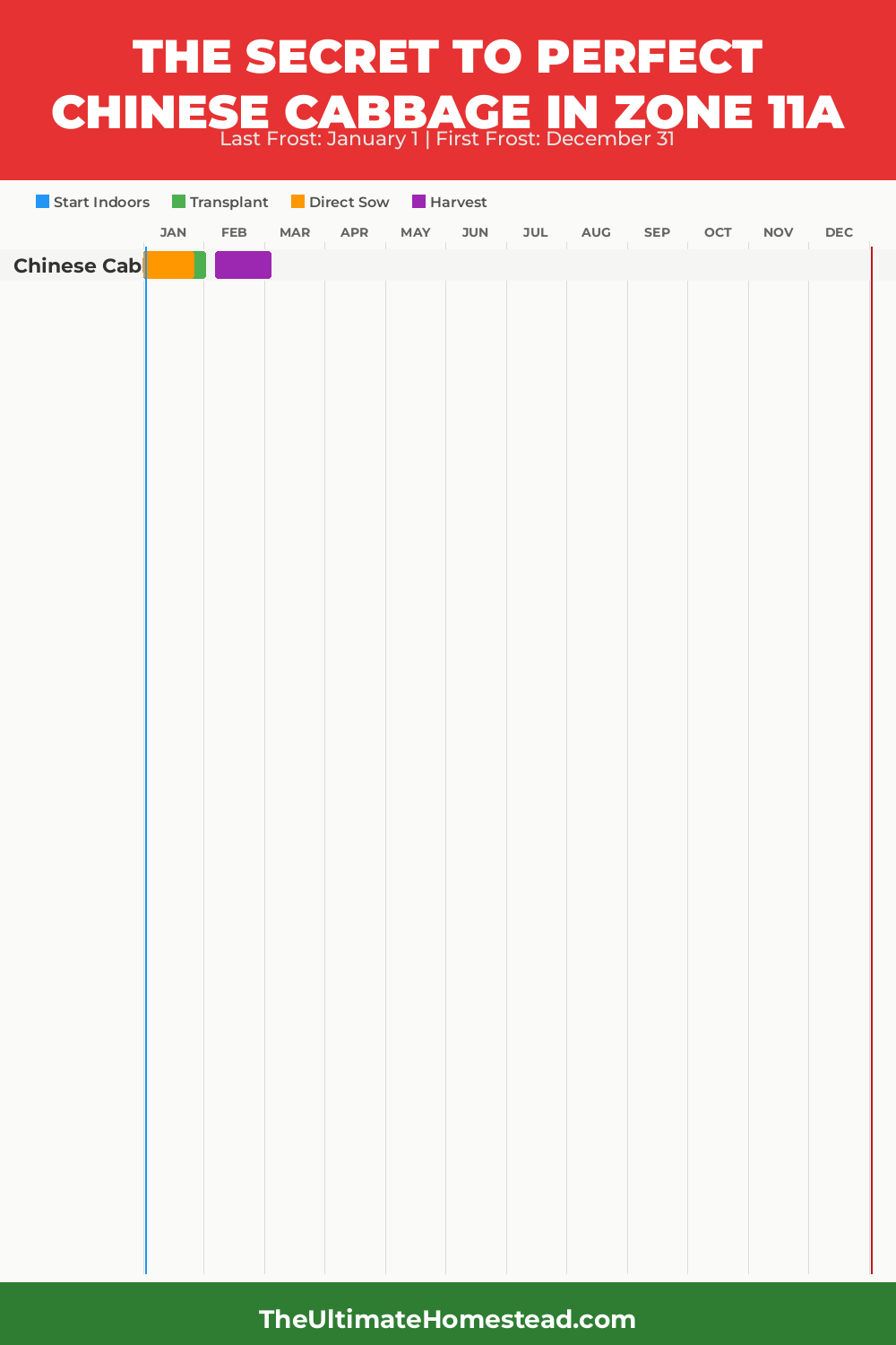 When to Plant Chinese Cabbage in Zone 11a