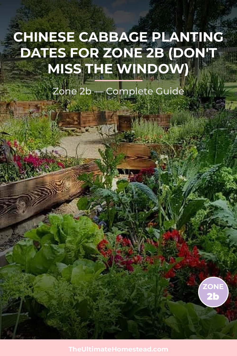 When to Plant Chinese Cabbage in Zone 2b