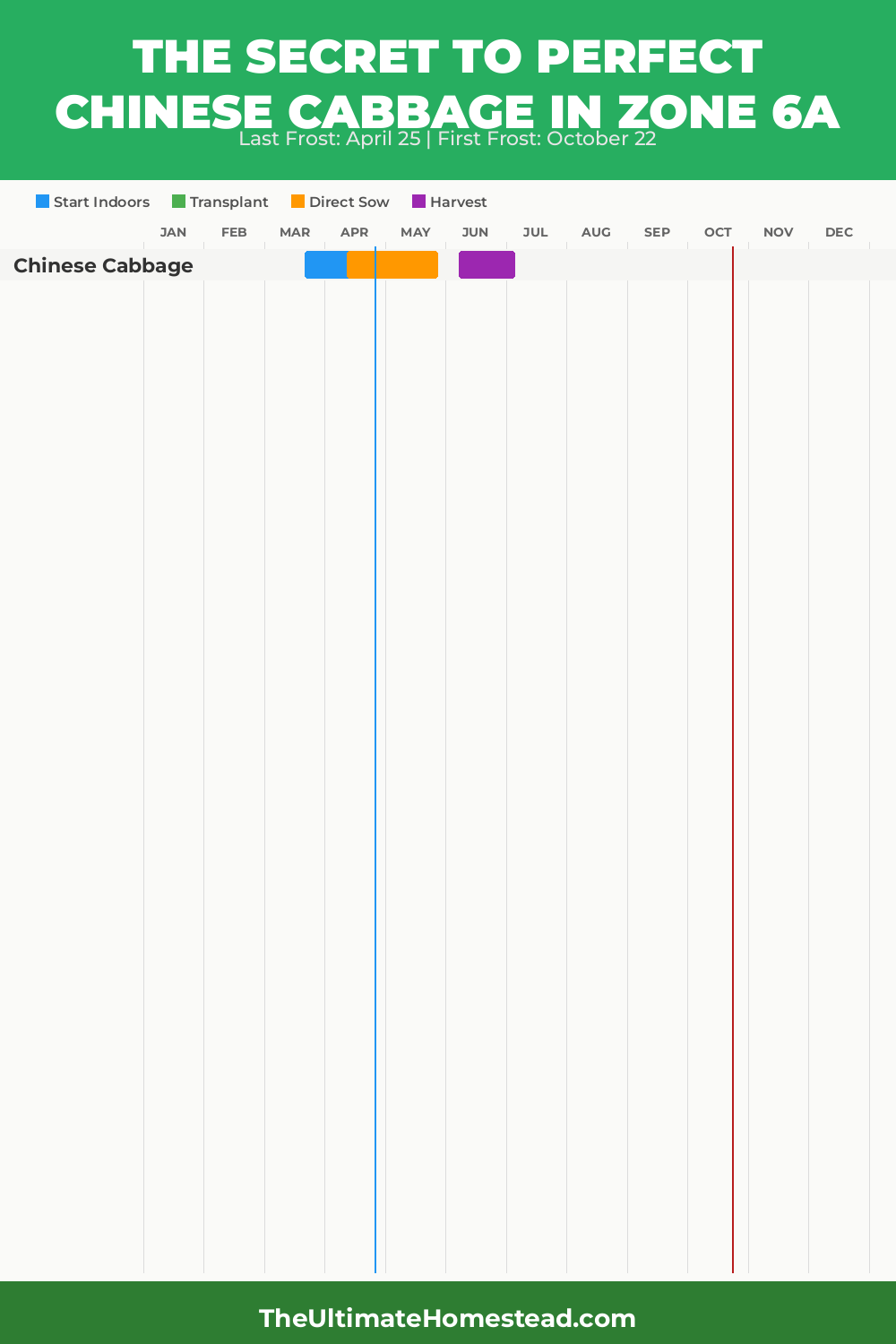 When to Plant Chinese Cabbage in Zone 6a