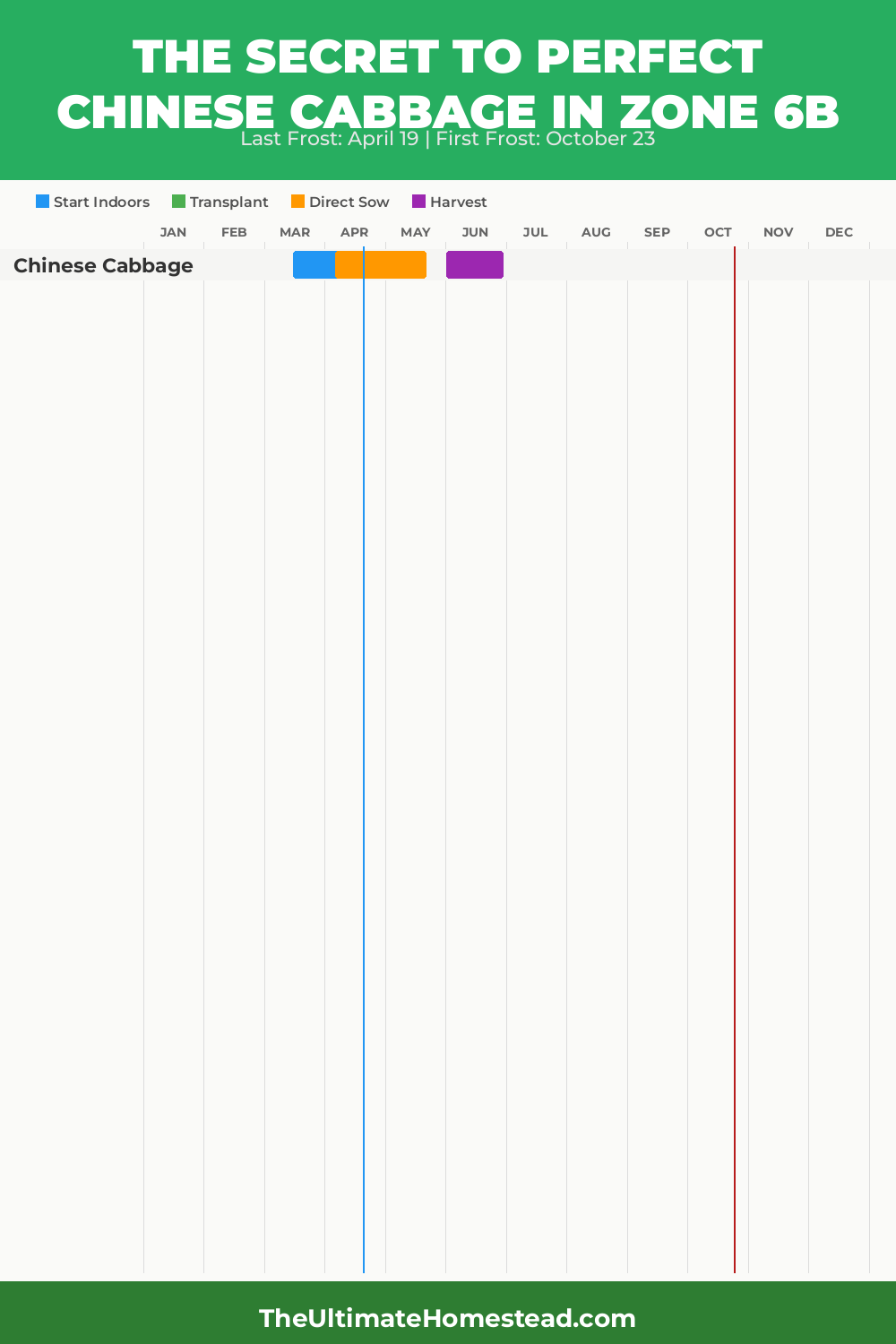 When to Plant Chinese Cabbage in Zone 6b