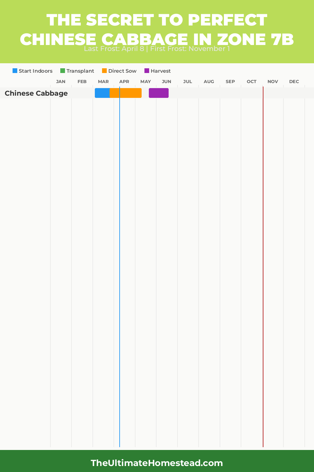 When to Plant Chinese Cabbage in Zone 7b
