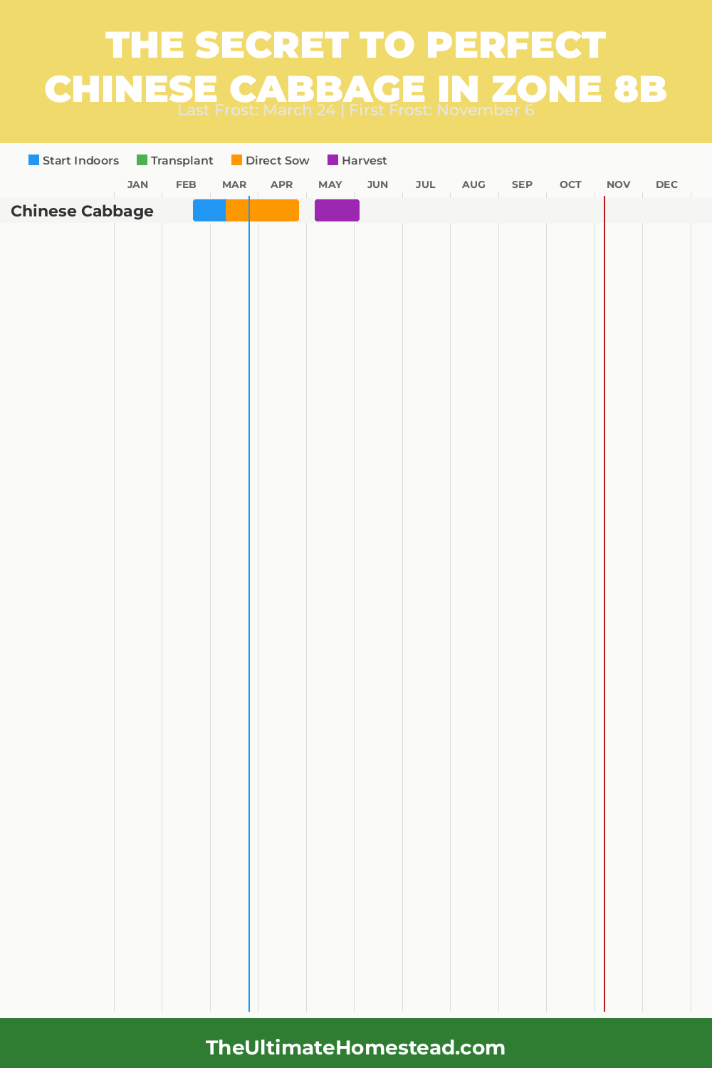 When to Plant Chinese Cabbage in Zone 8b