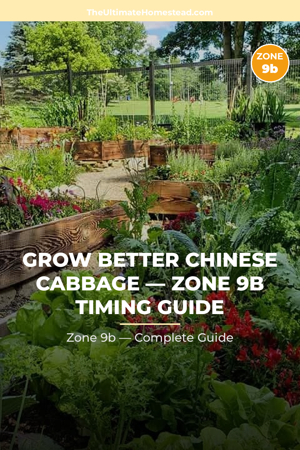 When to Plant Chinese Cabbage in Zone 9b