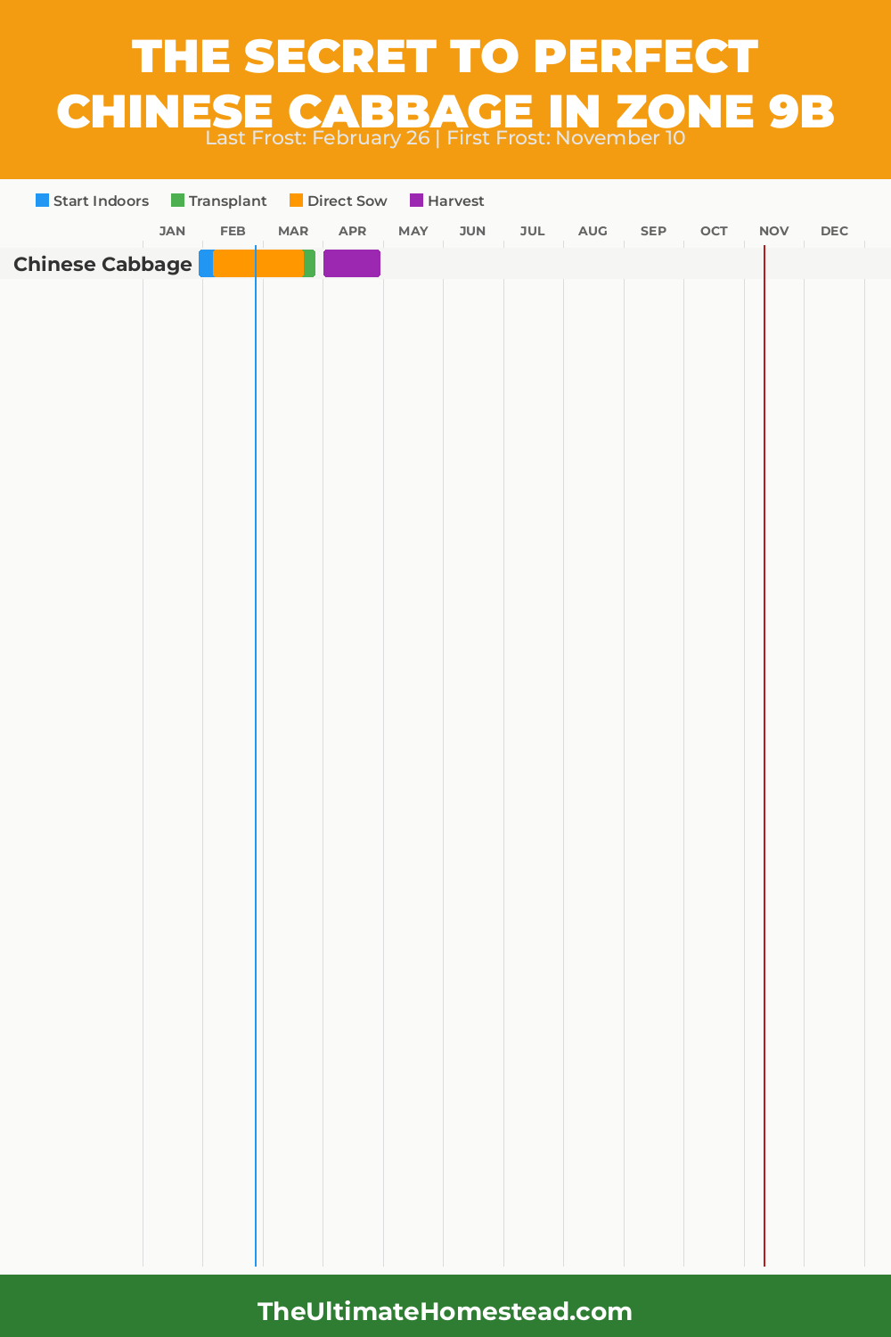 When to Plant Chinese Cabbage in Zone 9b