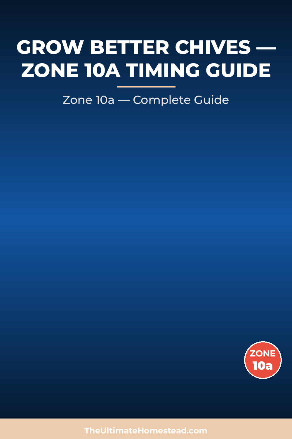When to Plant Chives in Zone 10a