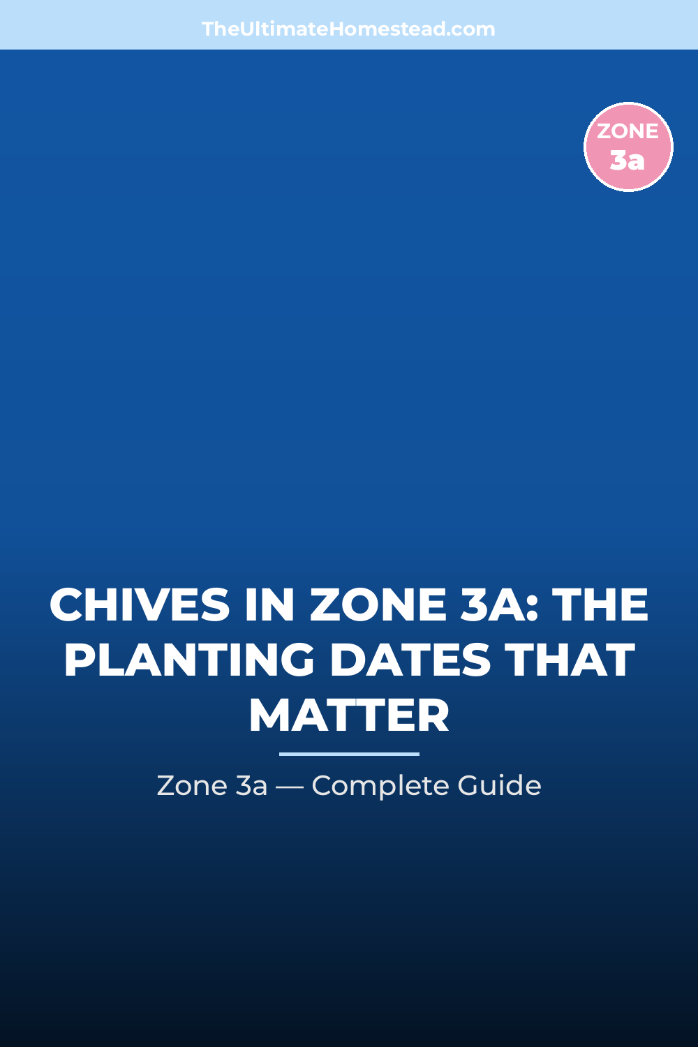 When to Plant Chives in Zone 3a