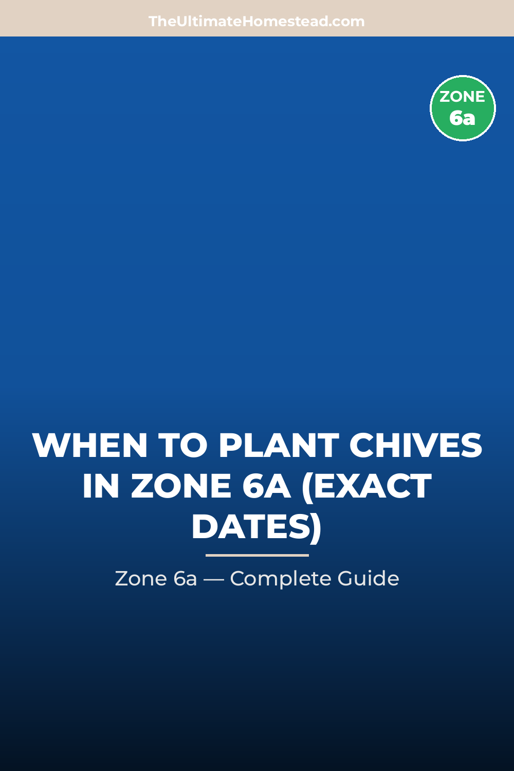 When to Plant Chives in Zone 6a